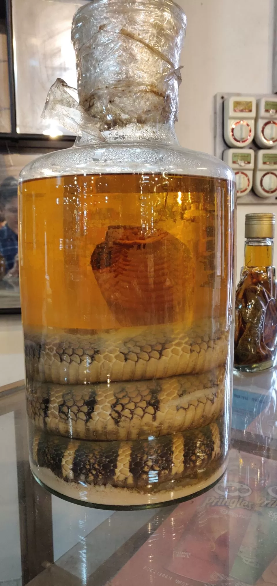 Photo of Cu Chi Tunnels, Ho Chi Minh City