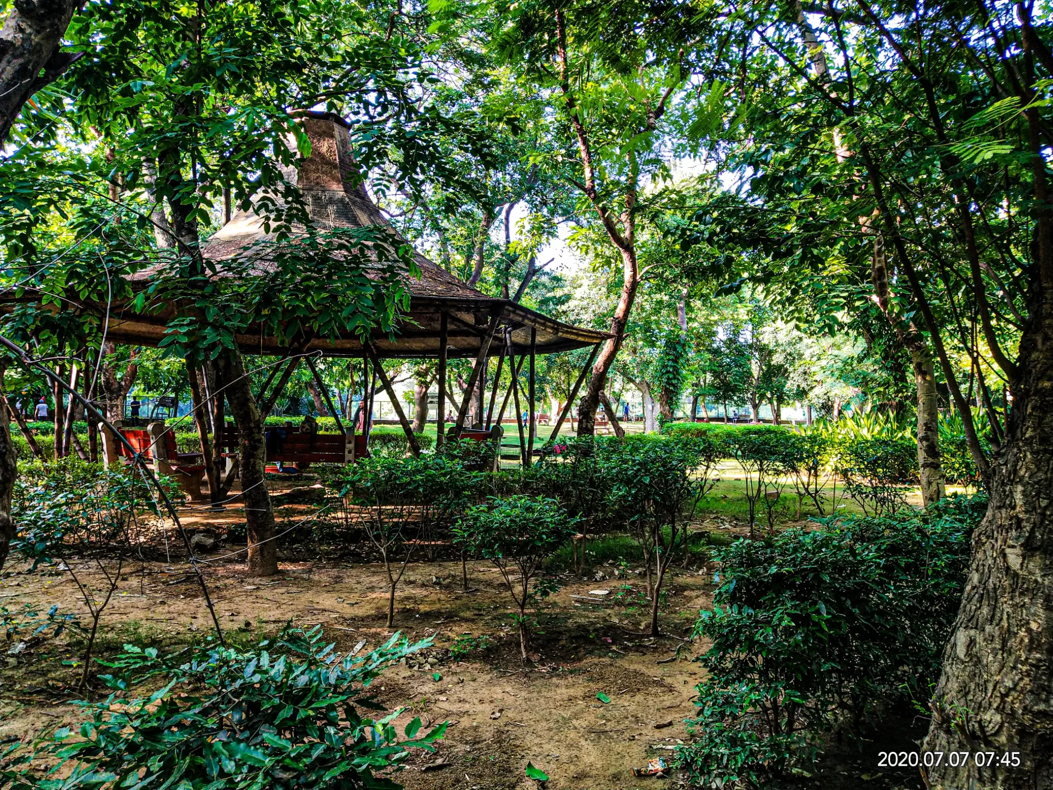Photo of Sanjay Van, New Delhi