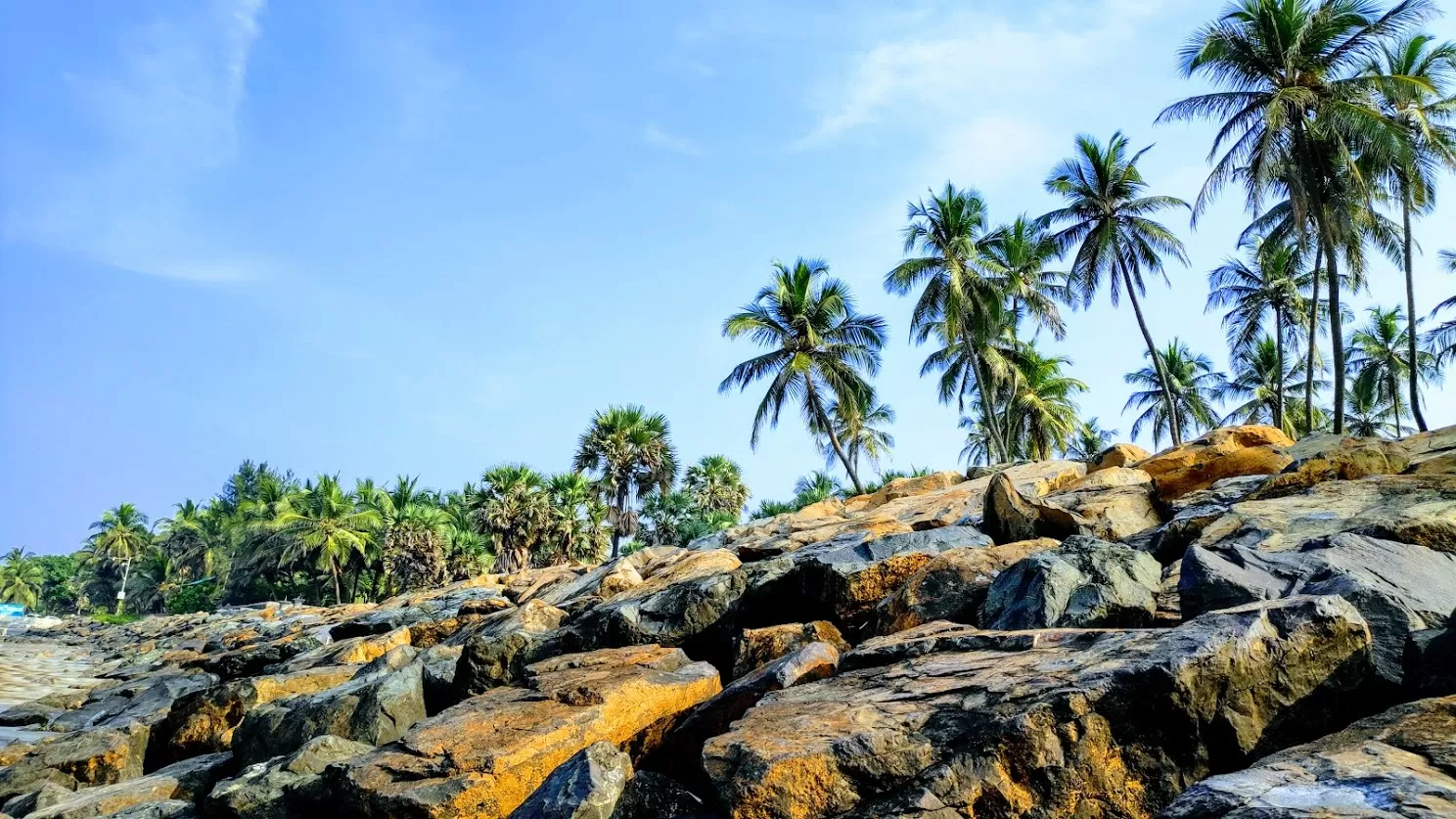 Photo of Gorai Beach, Mumbai
