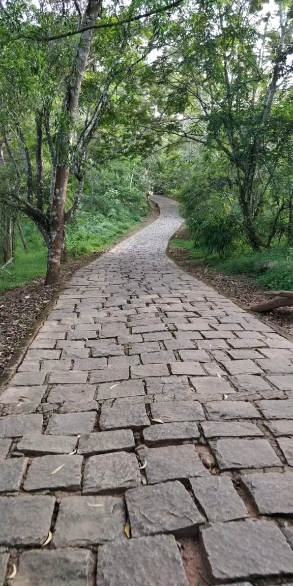 Photo of Soochipara Falls, Wayanad