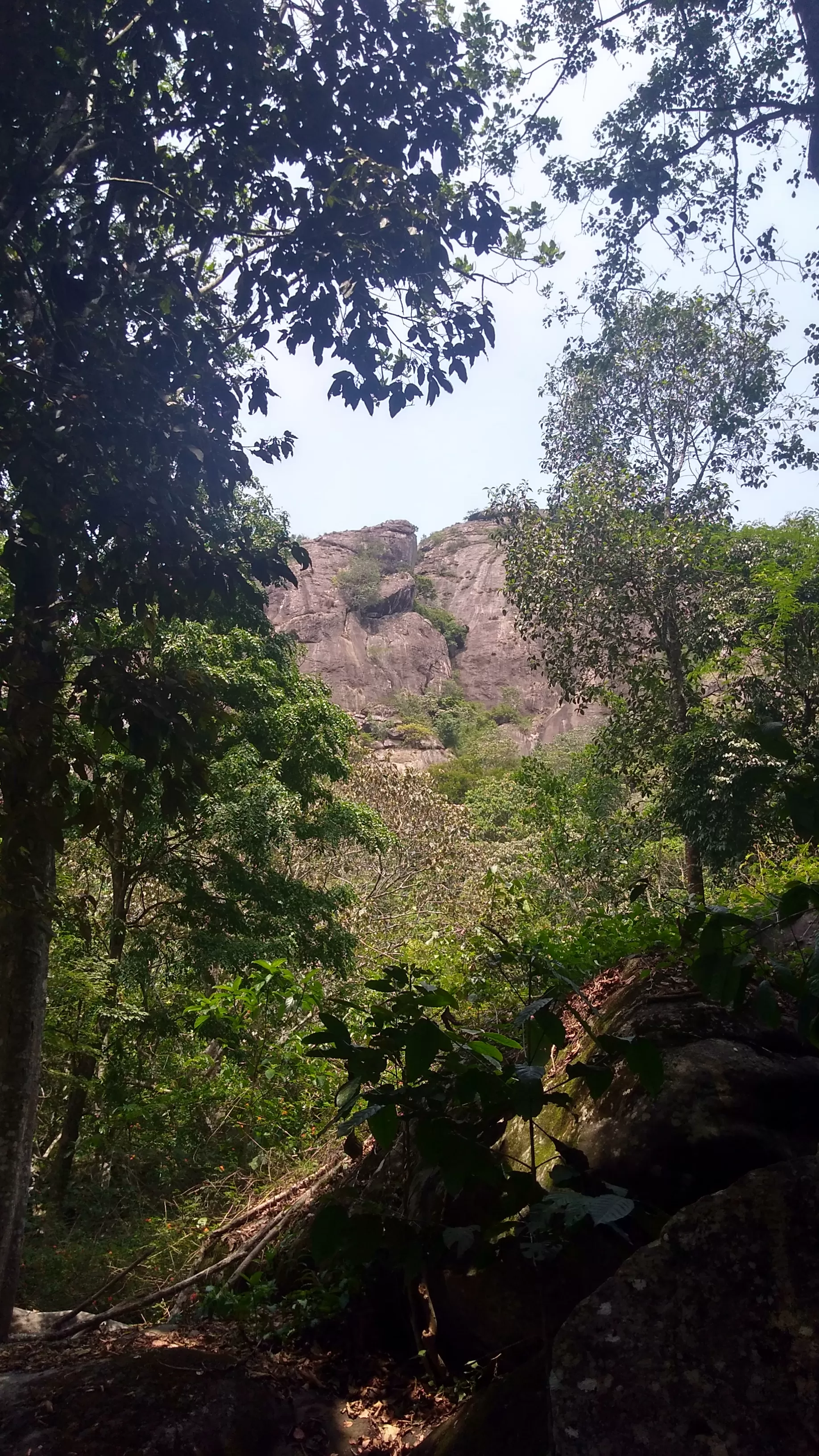 Photo of Edakkal Caves, Kalpetta