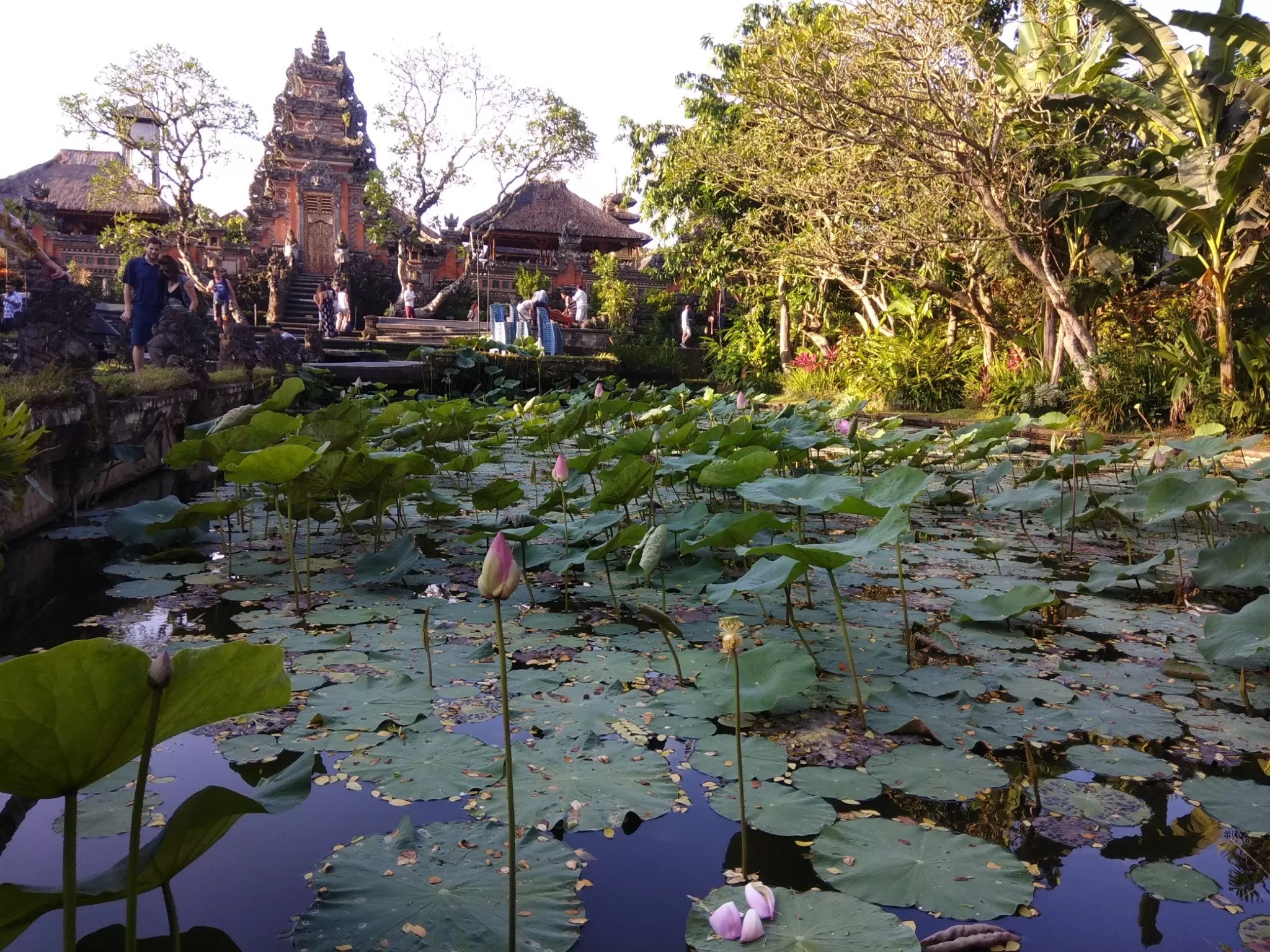 Photo of Pura Taman Saraswati, Ubud