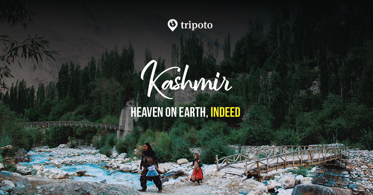 Tour Packages Book India International Holiday Packages On Tripoto Tripoto is the best travel app for answering multiple travel queries such as:weekend getaways delhiweekend getaways mumbaiweekend getaway bangalorekerala tourism, delhi tourism. tour packages book india