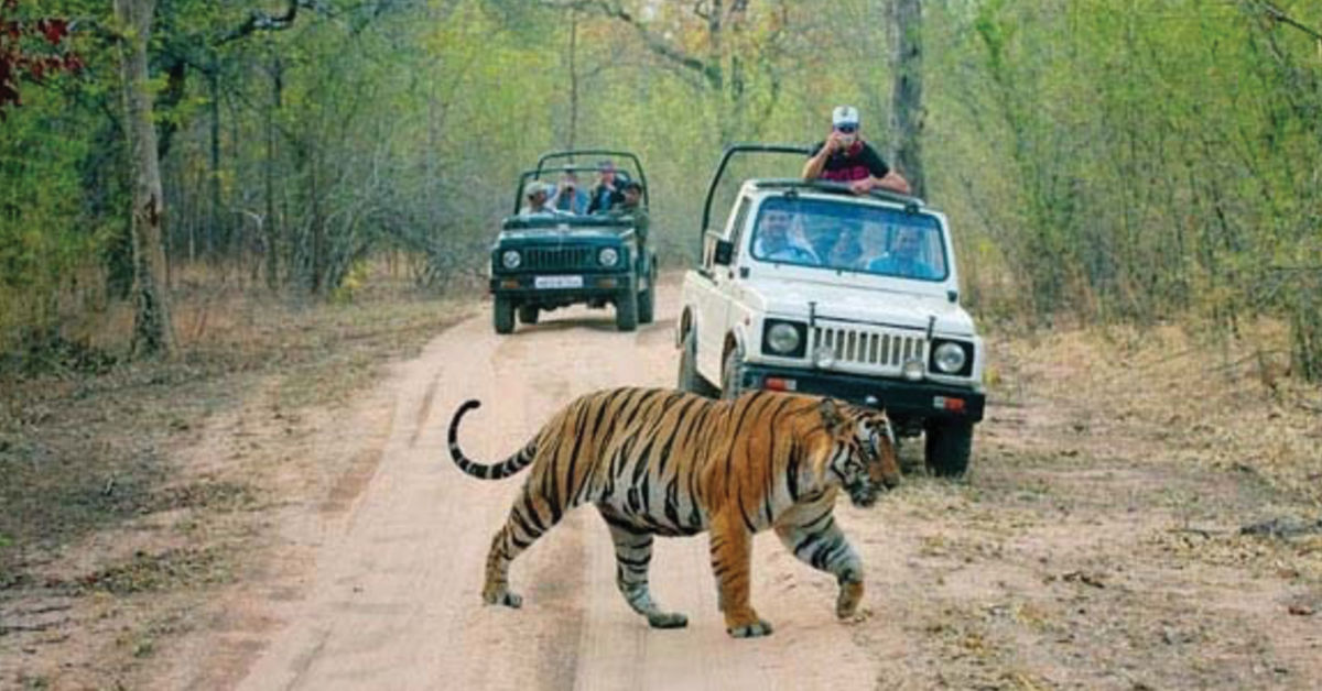 Book Ranthambore National Park, Rajasthan tour packages Tripoto