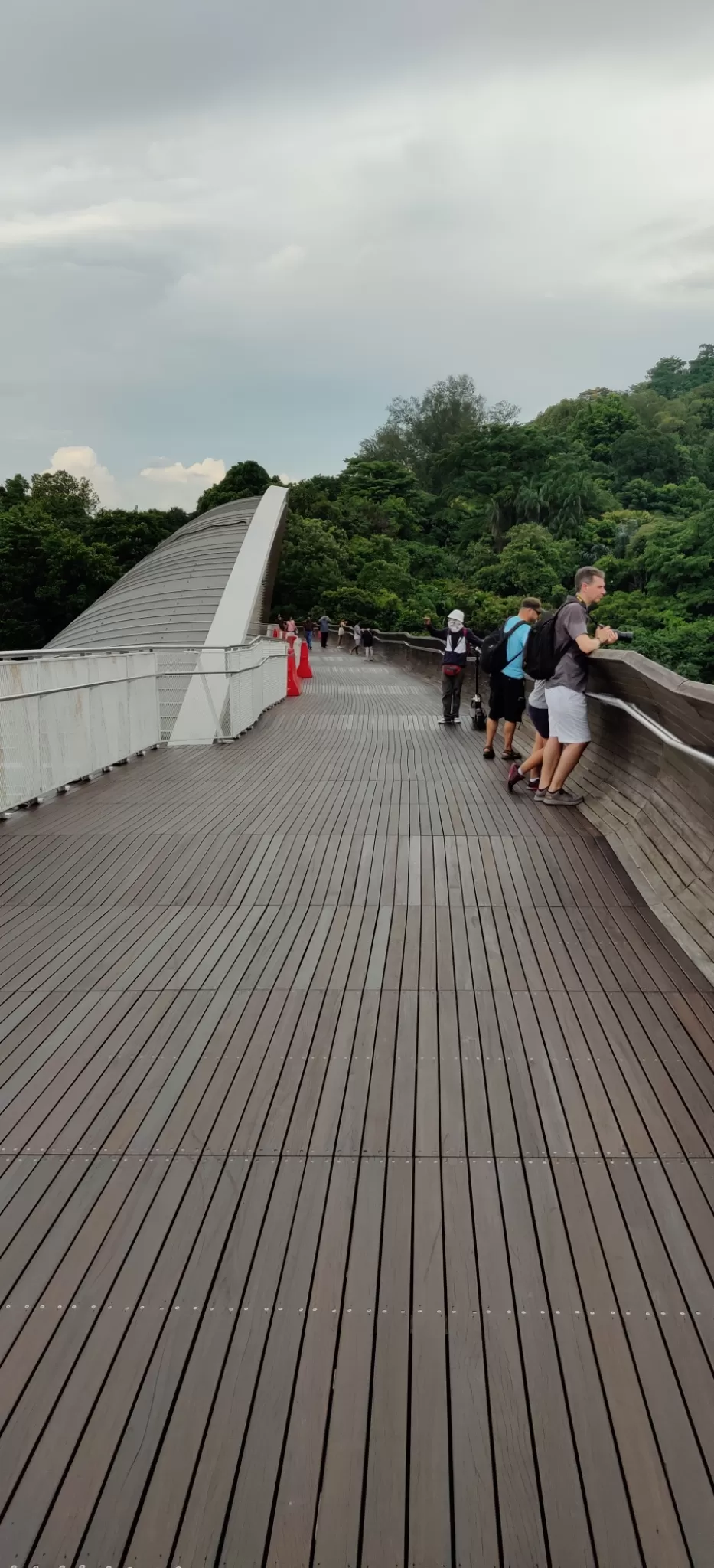 Photo of Henderson Waves, Singapore