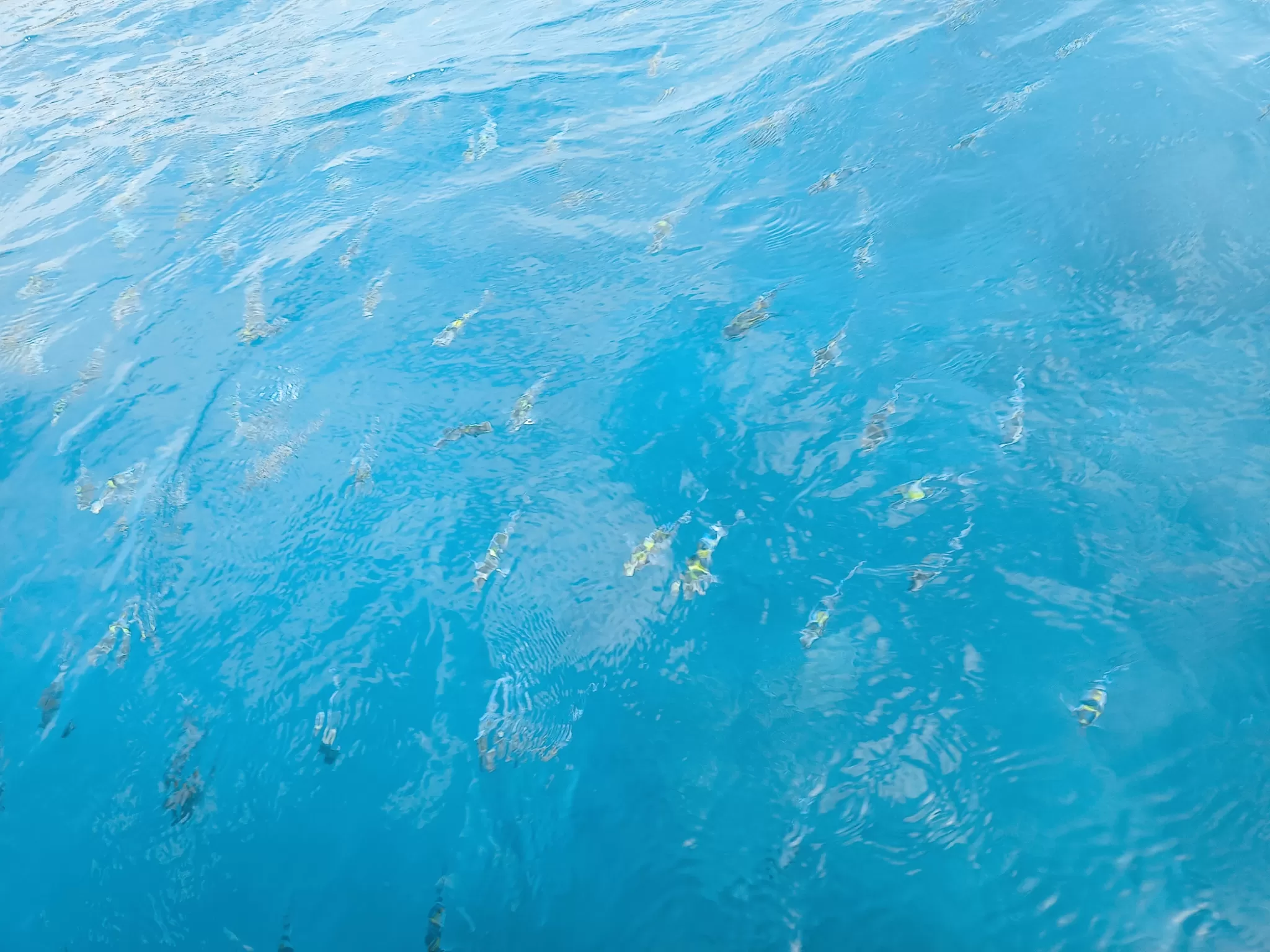 Photo of Tanjung Benoa, Bali