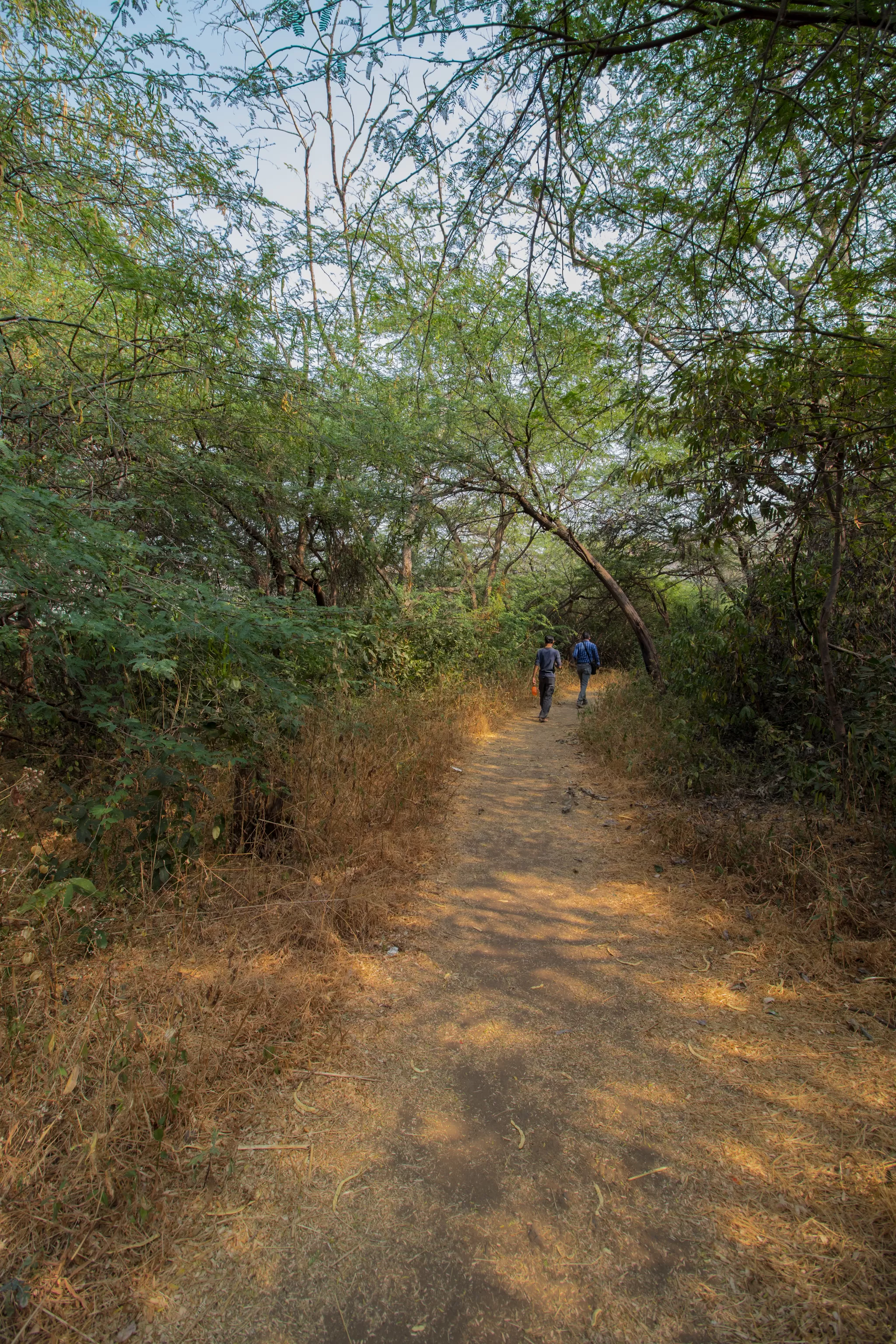 Photo of Lonar Crater Lake, Buldhana