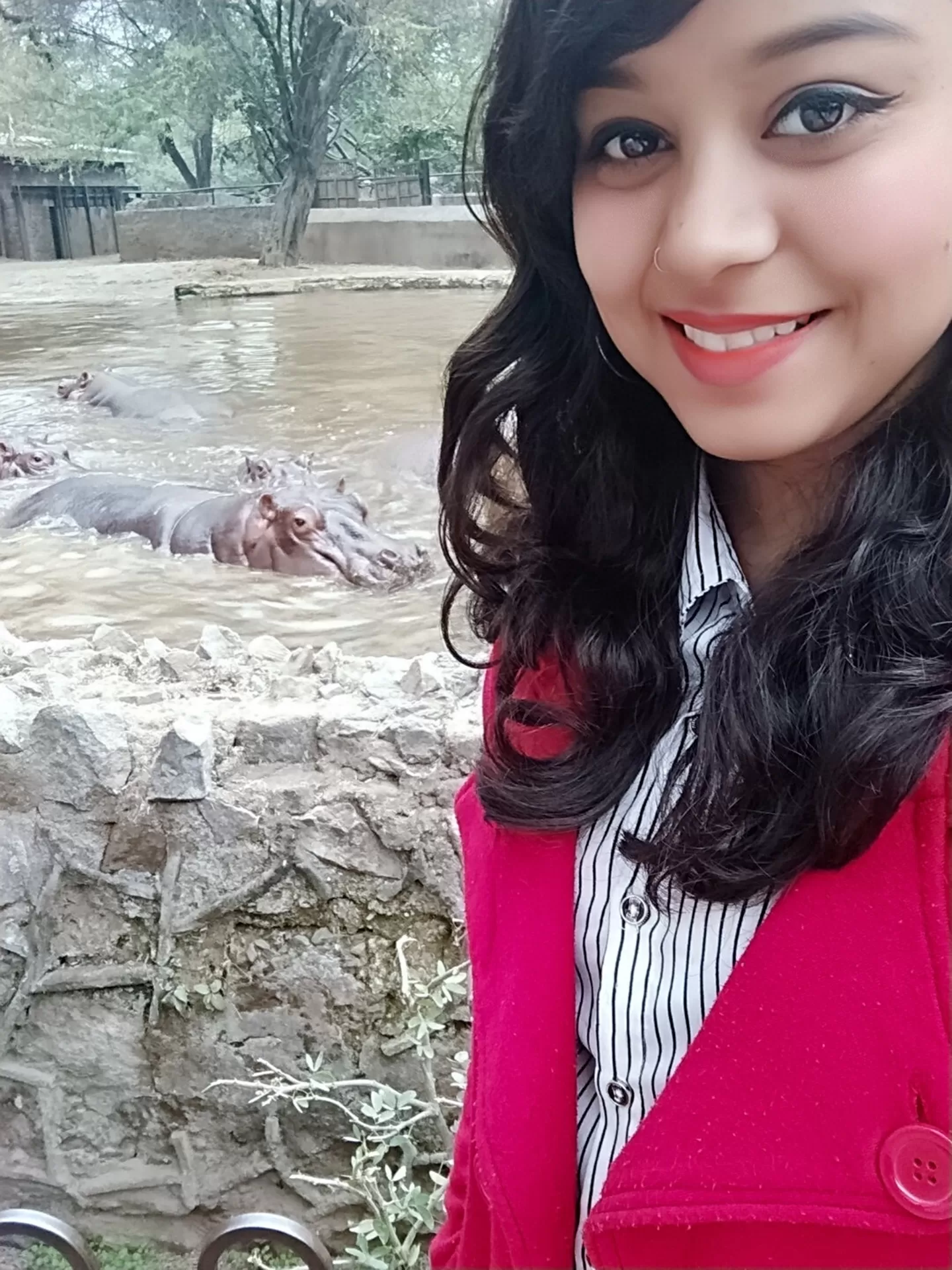 Photo of delhi zoo, new delhi