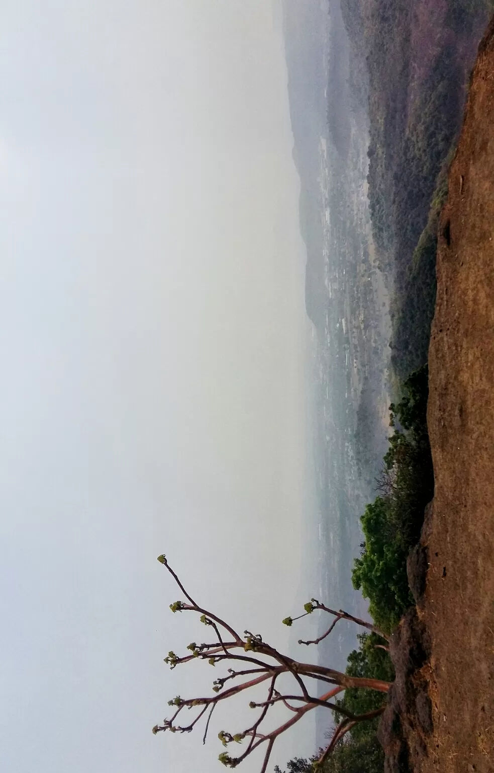 Photo of Karnala Fort, Panvel
