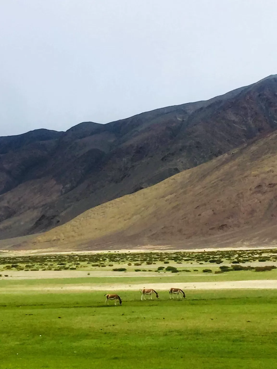 Photo of Hanle, Leh Ladakh