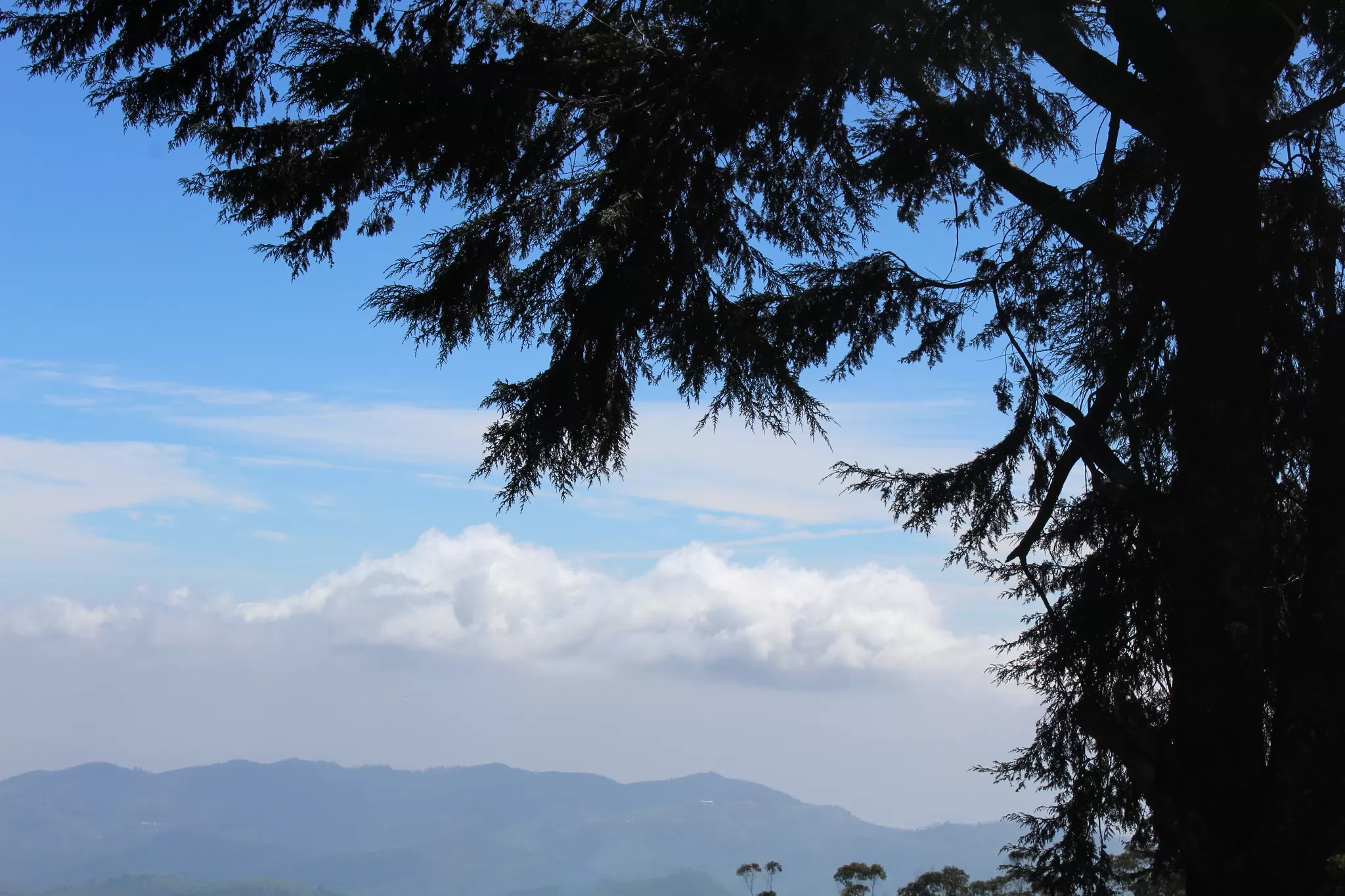 Photo of Doddabetta Peak, Ooty