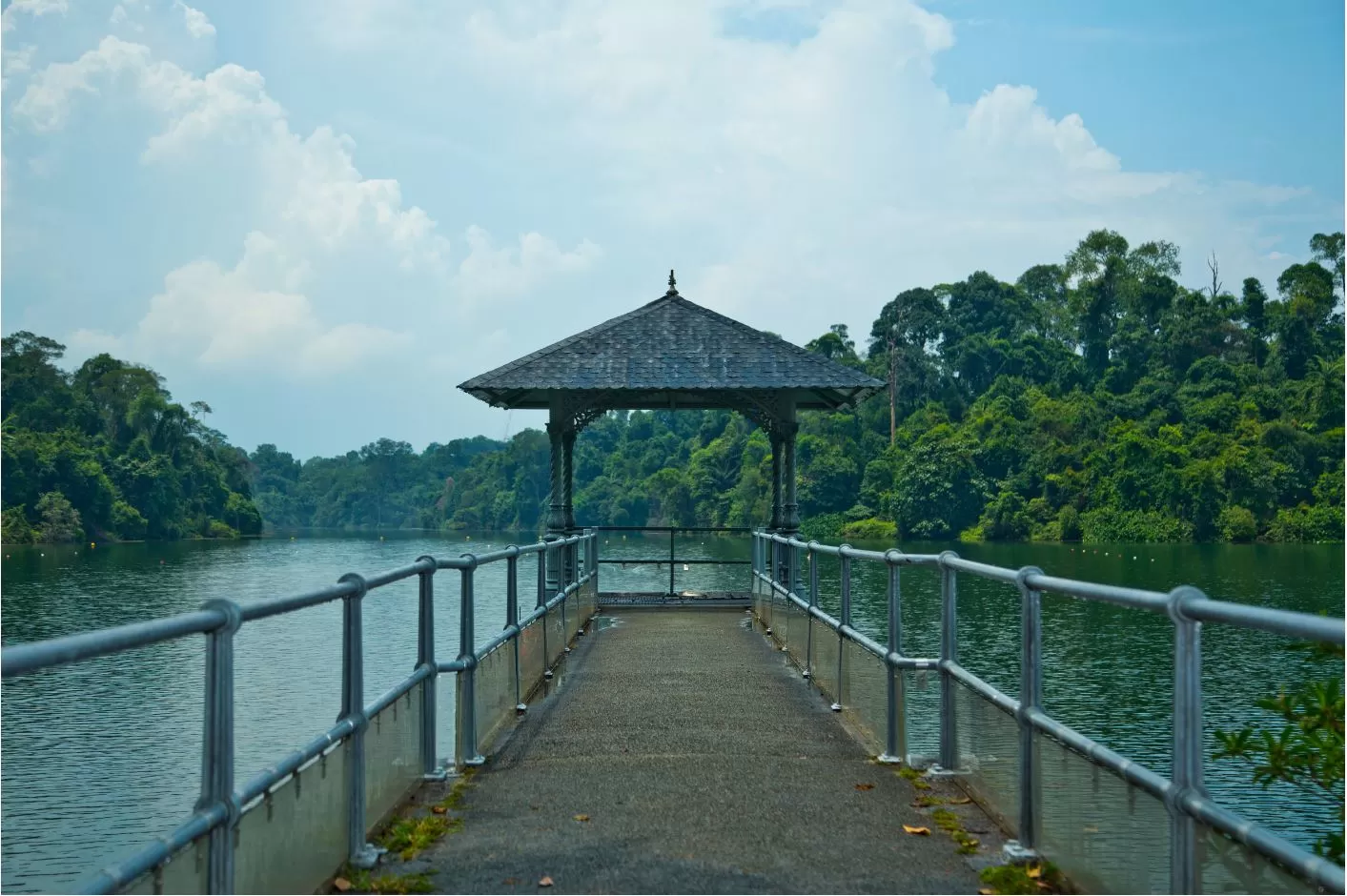 Photo of Macritchie Reservoir, Singapore