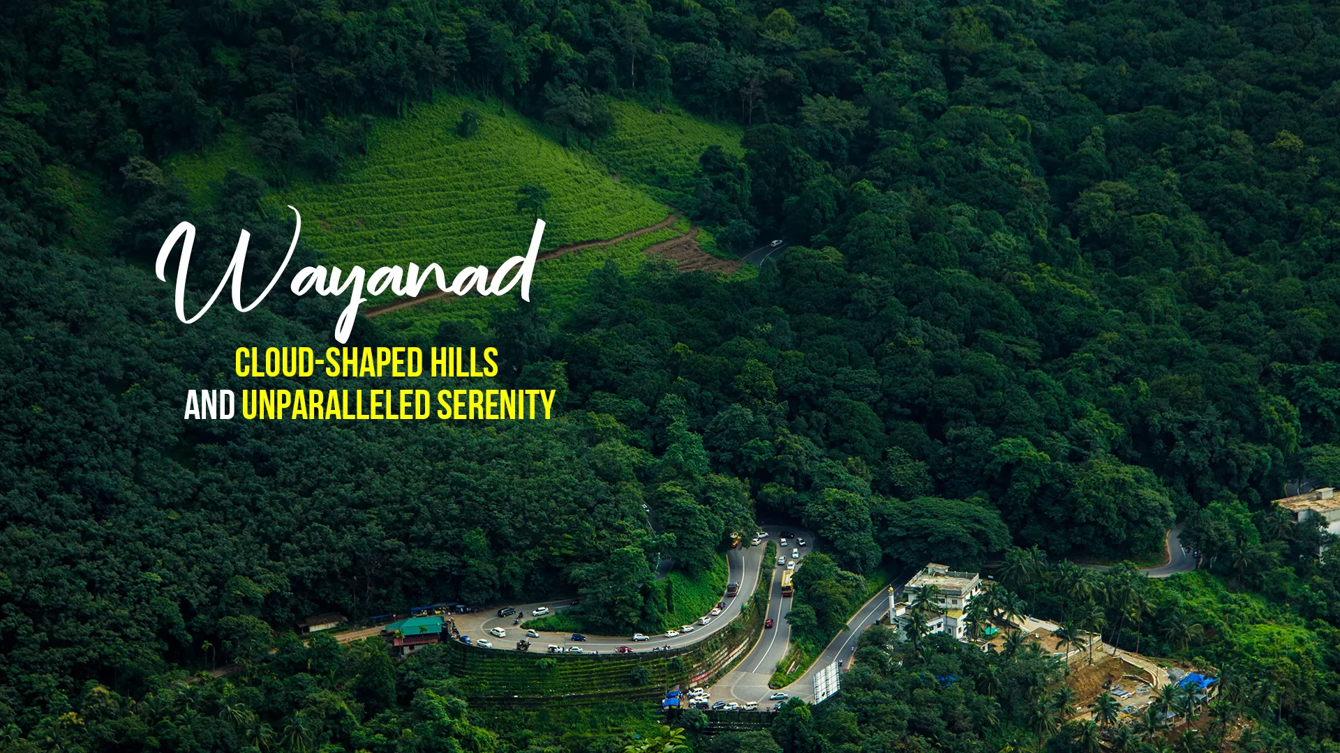 wayanad group tour packages