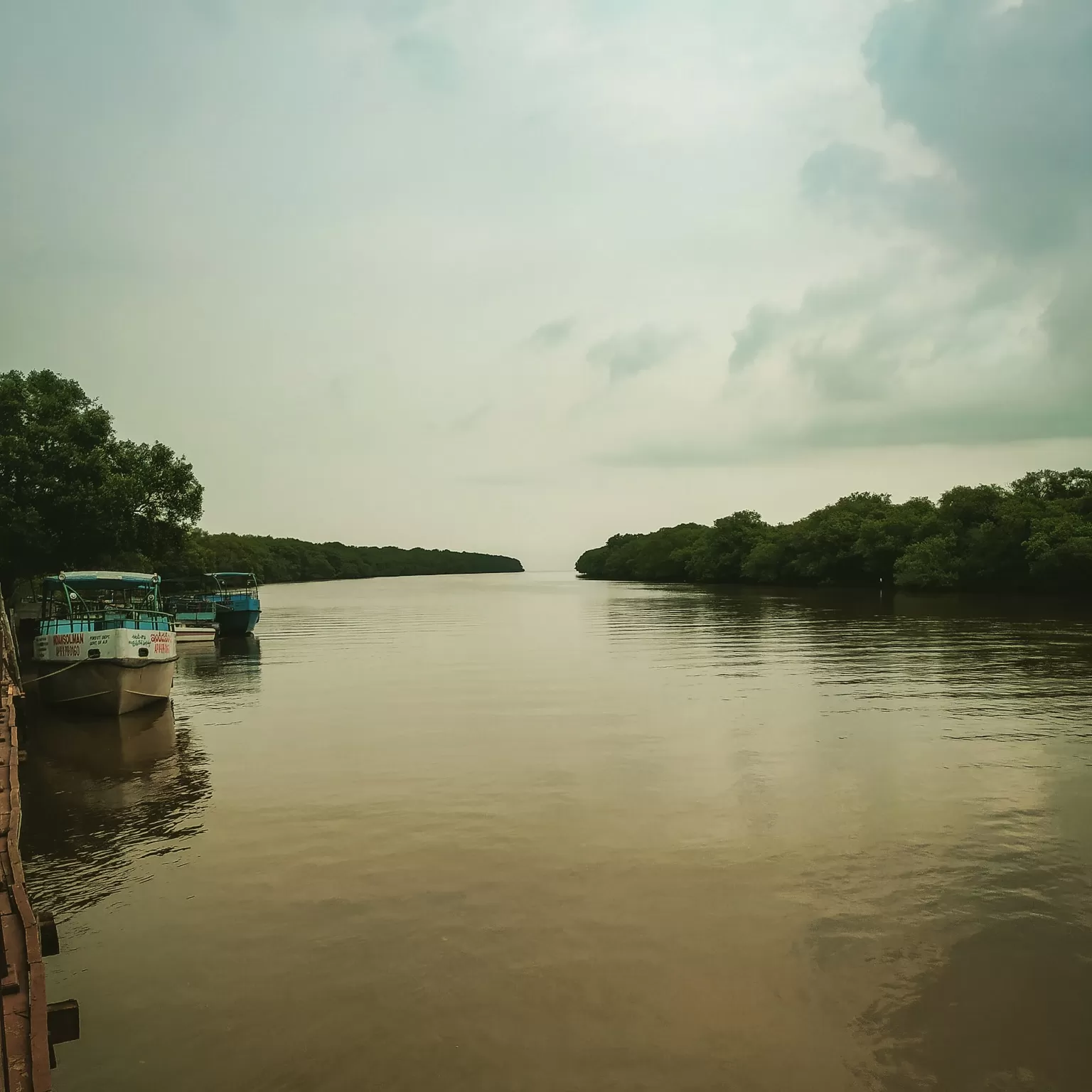 Photo of Coringa Wildlife Sanctuary, kakinada