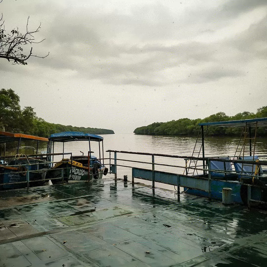 Photo of Coringa Wildlife Sanctuary, kakinada