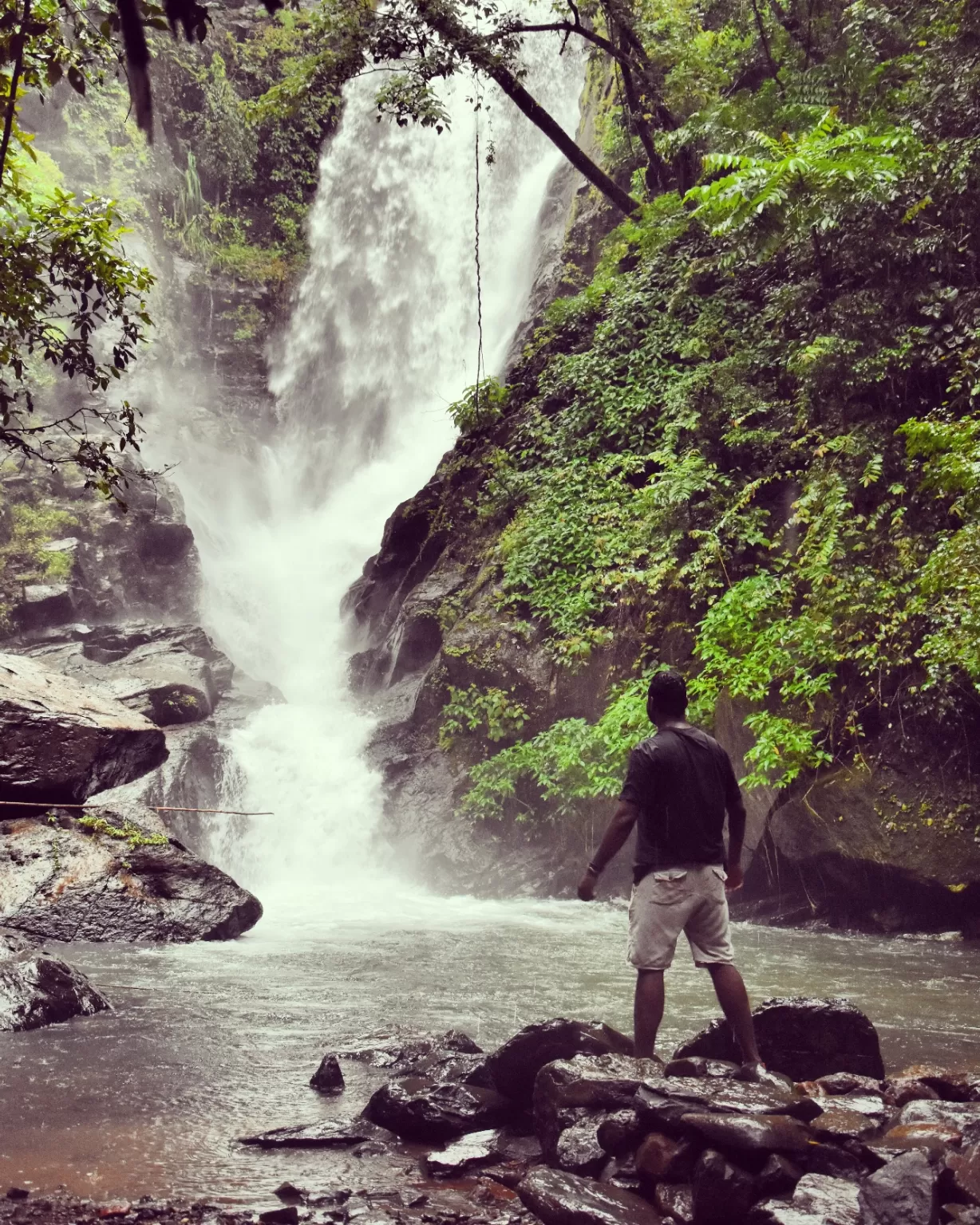Photo of Netravali Waterfall, Goa