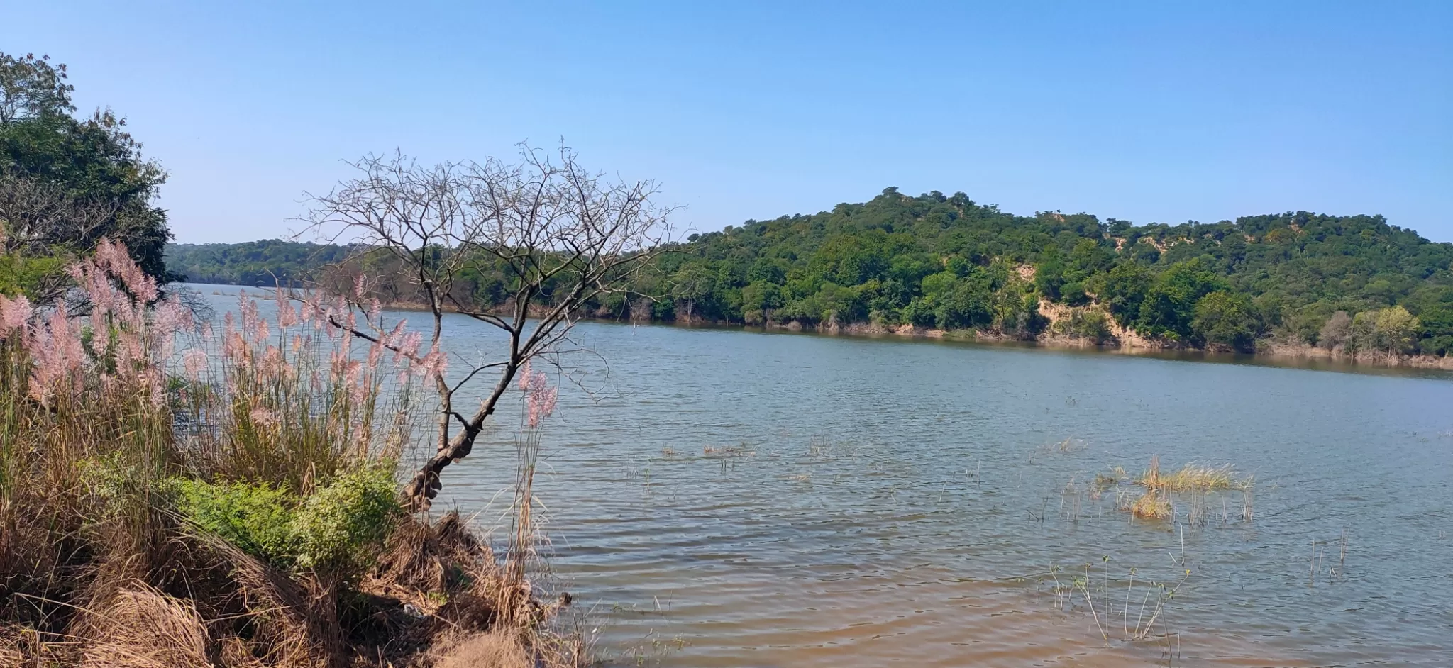 Photo of Siswan Dam, Mohali