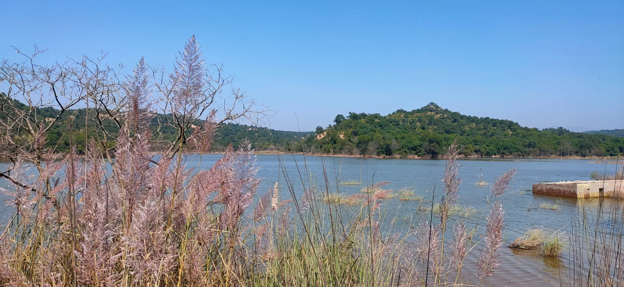 Photo of Siswan Dam, Mohali