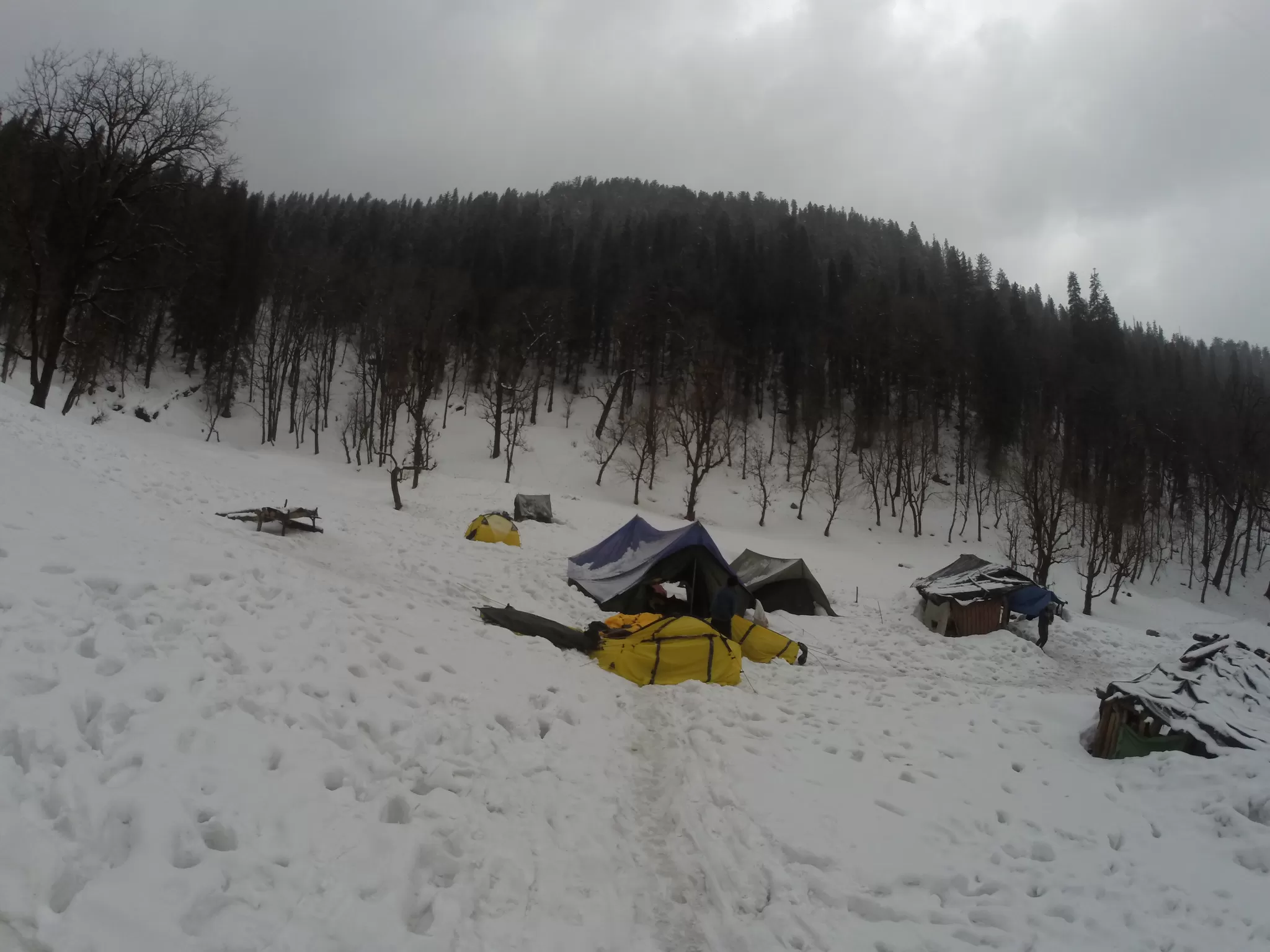 Photo of Kedarkantha Trek, dehradun