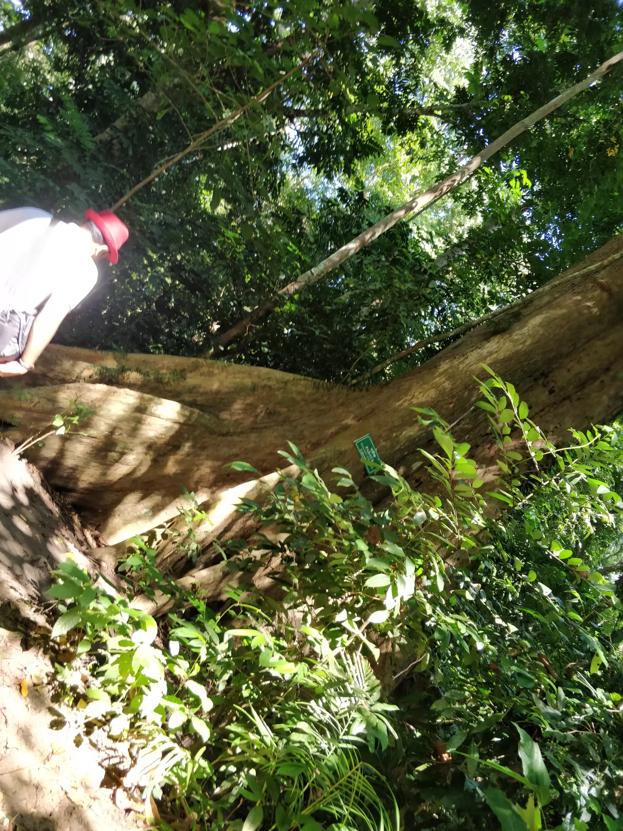 Photo of Elephant Beach, Andaman and nicobar islands