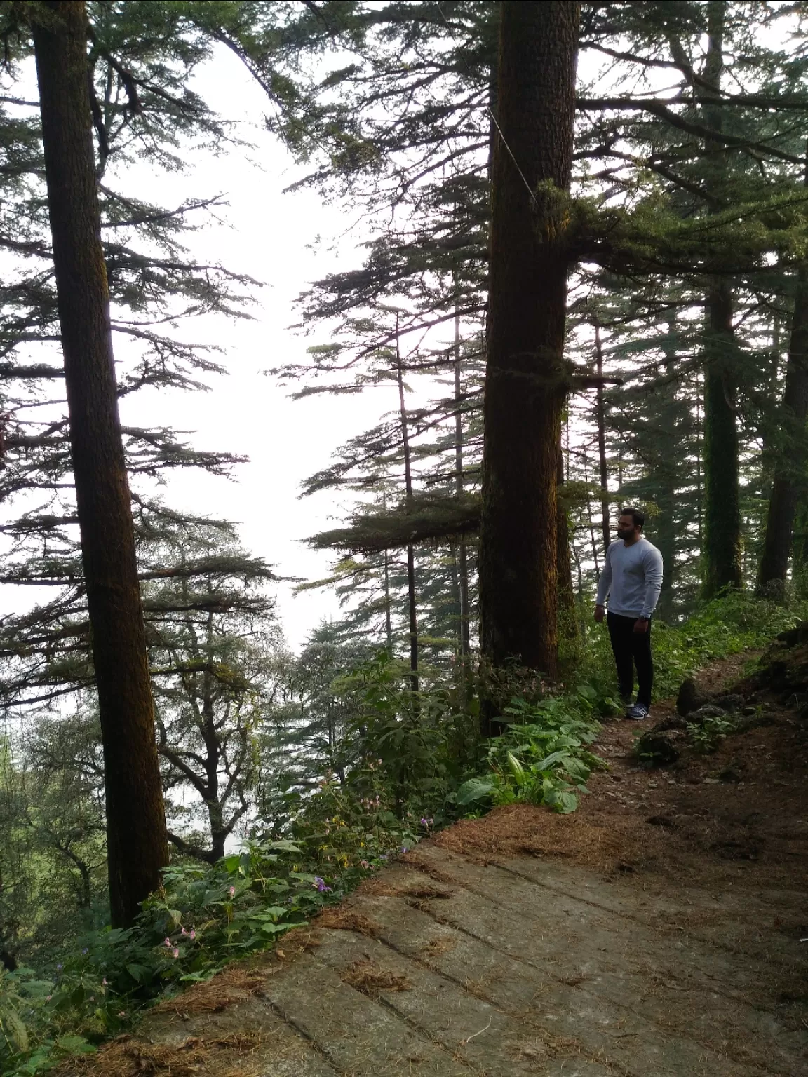 Photo of Lal Tibba, Mussoorie