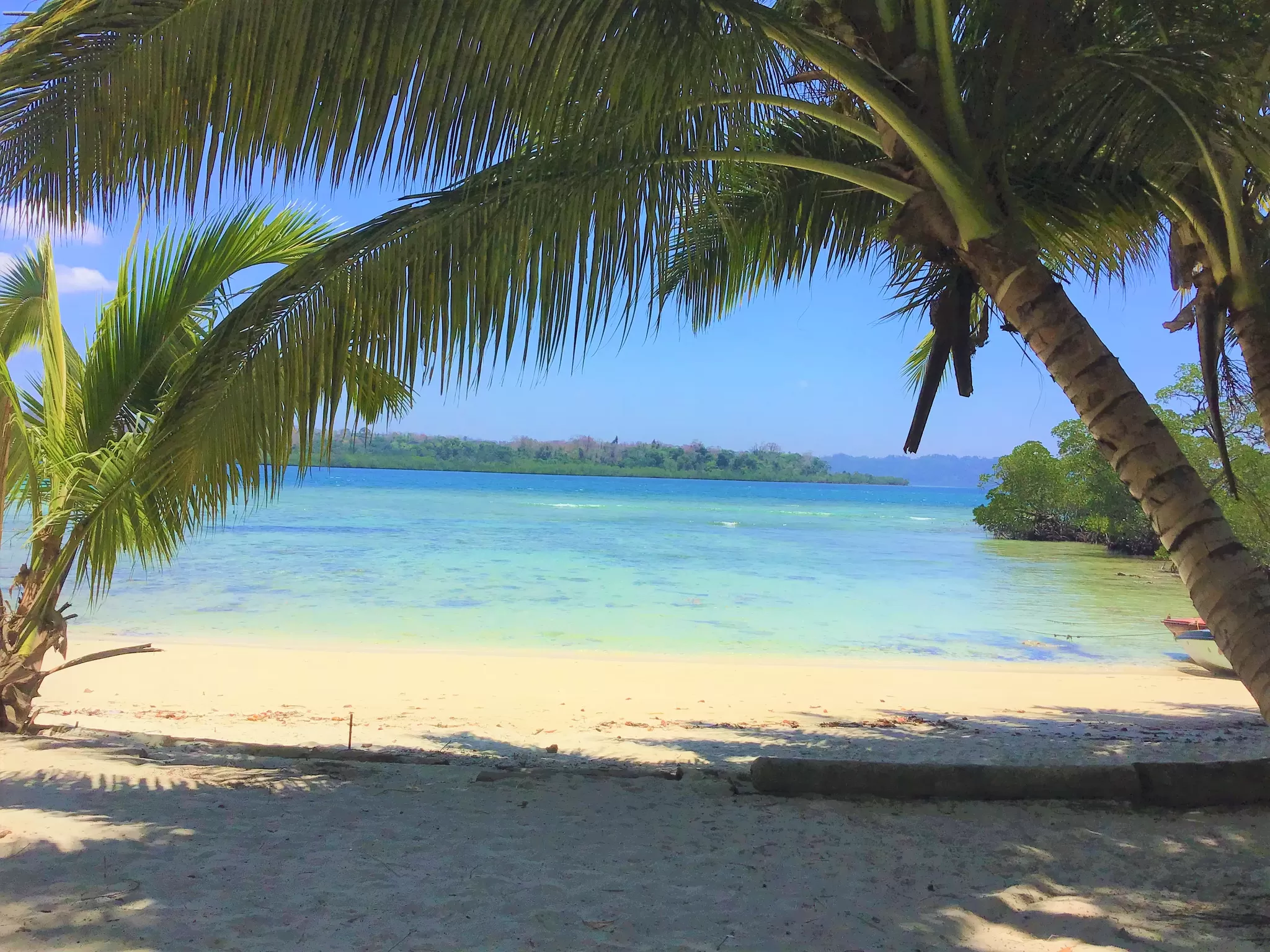 Photo of havelock island beach resort, Andaman and nicobar islands