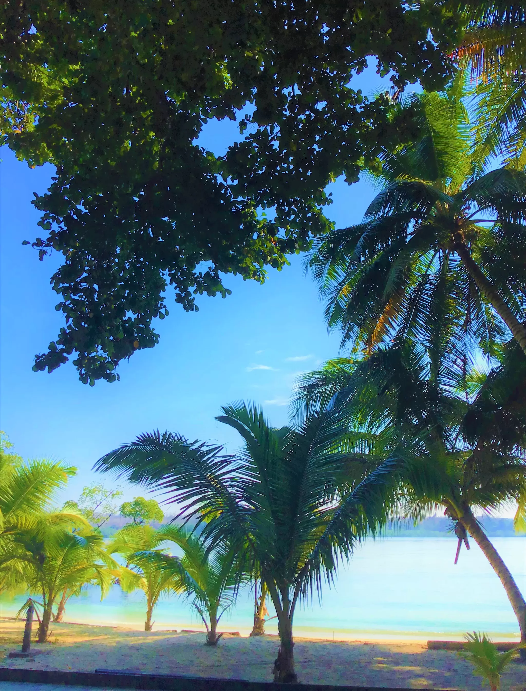 Photo of havelock island beach resort, Andaman and nicobar islands
