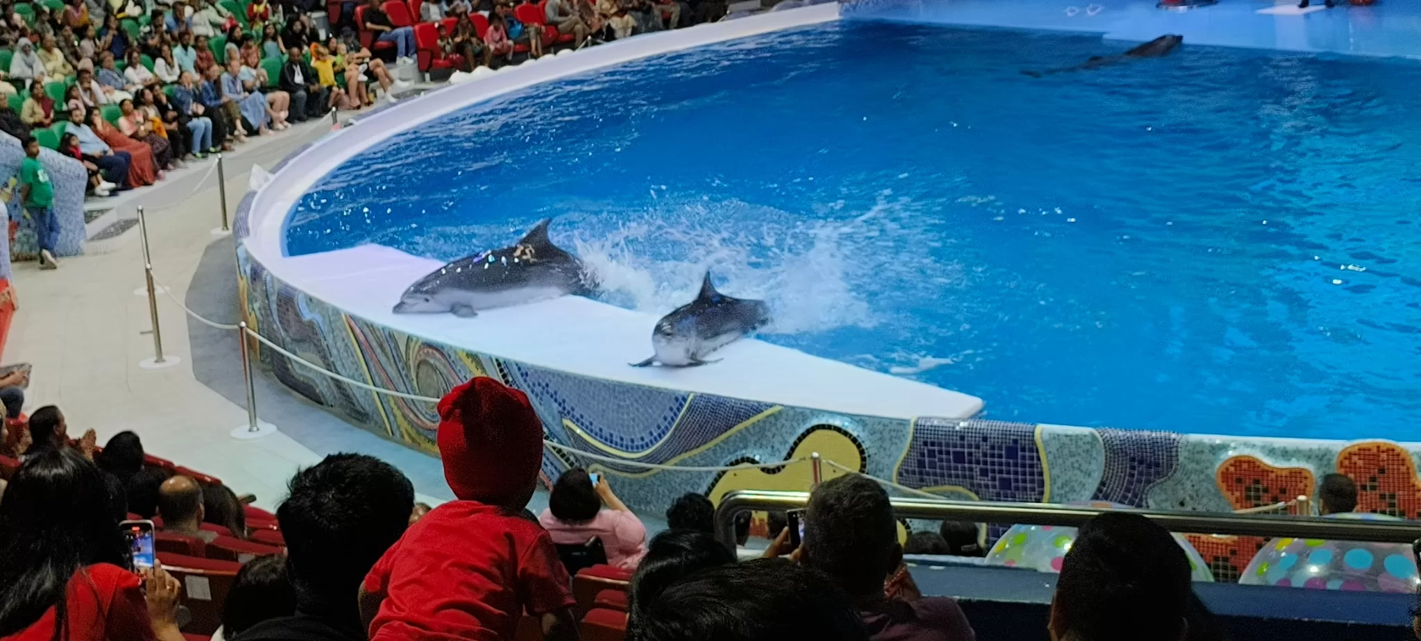 Photo of Dubai Dolphinarium, Dubai