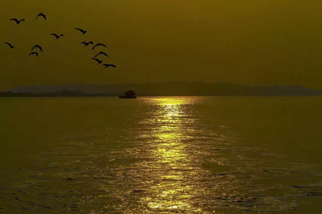 Photo of Salim Ali Bird Sanctuary, Goa