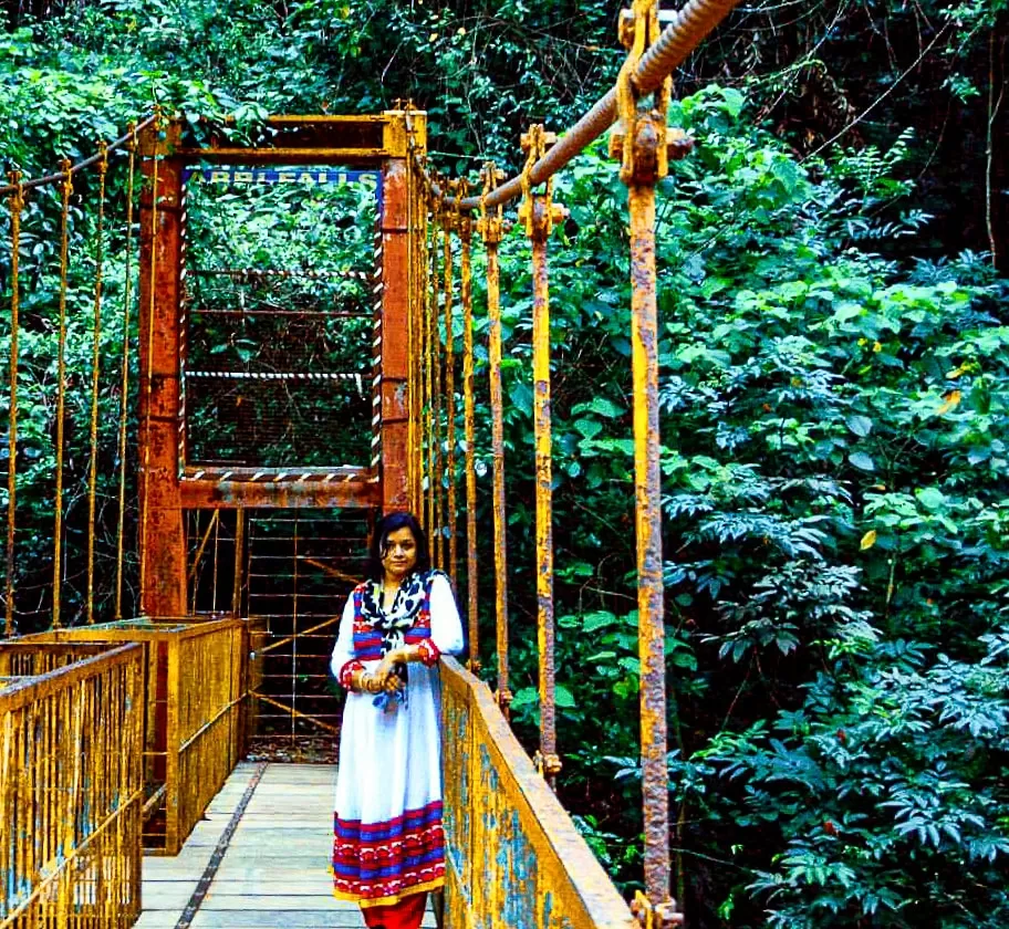 Photo of abbey falls, Coorg