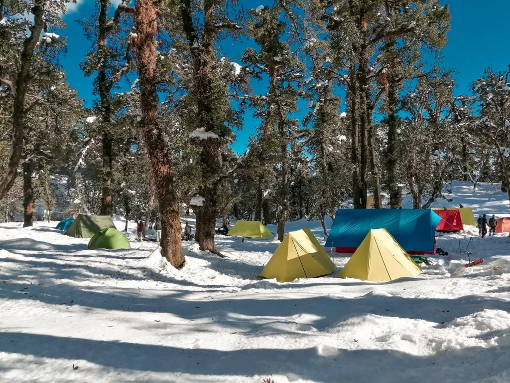 Photo of Brahmatal Trek, chamoli