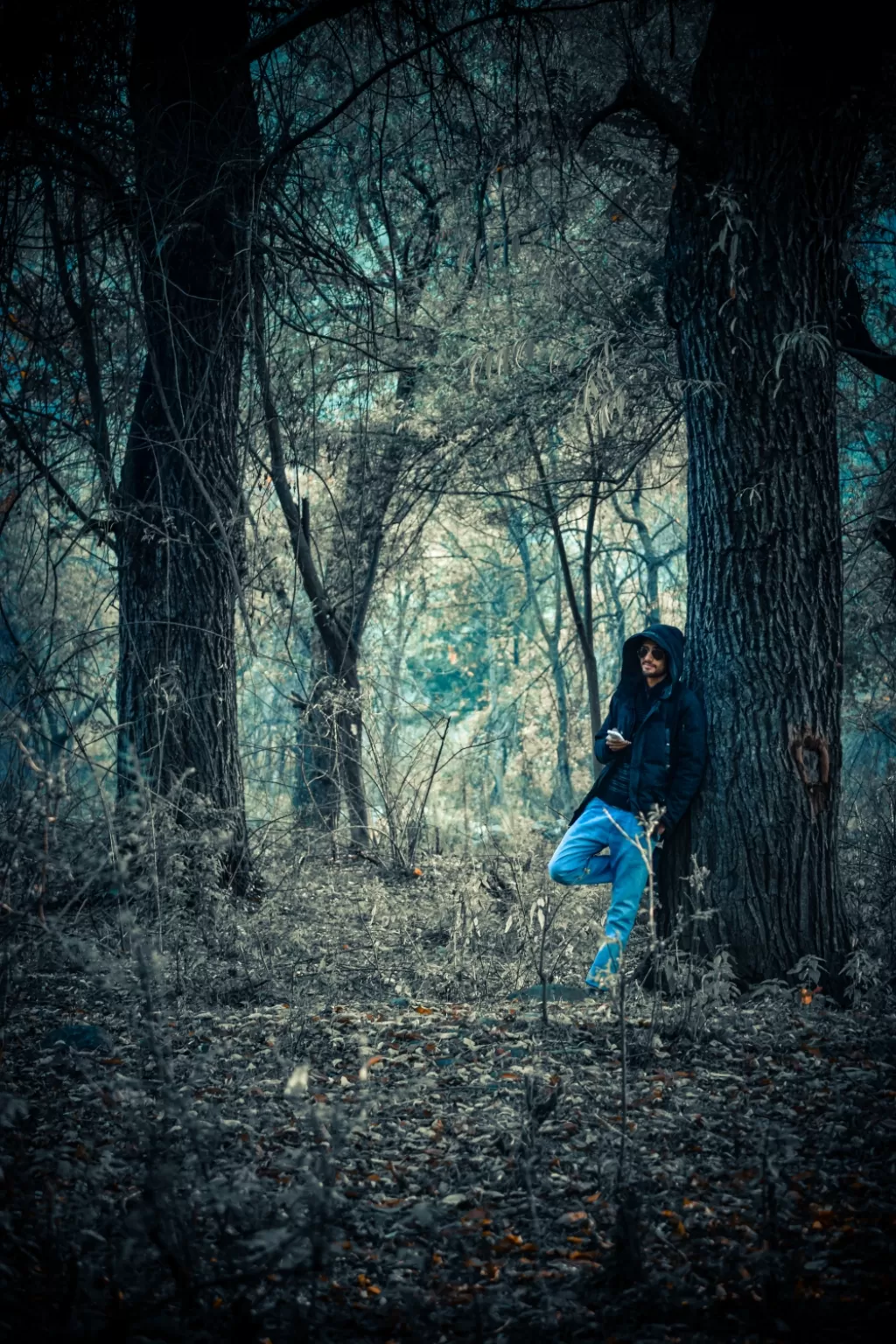 Photo of Dachigam National Park, jammu and kashmir