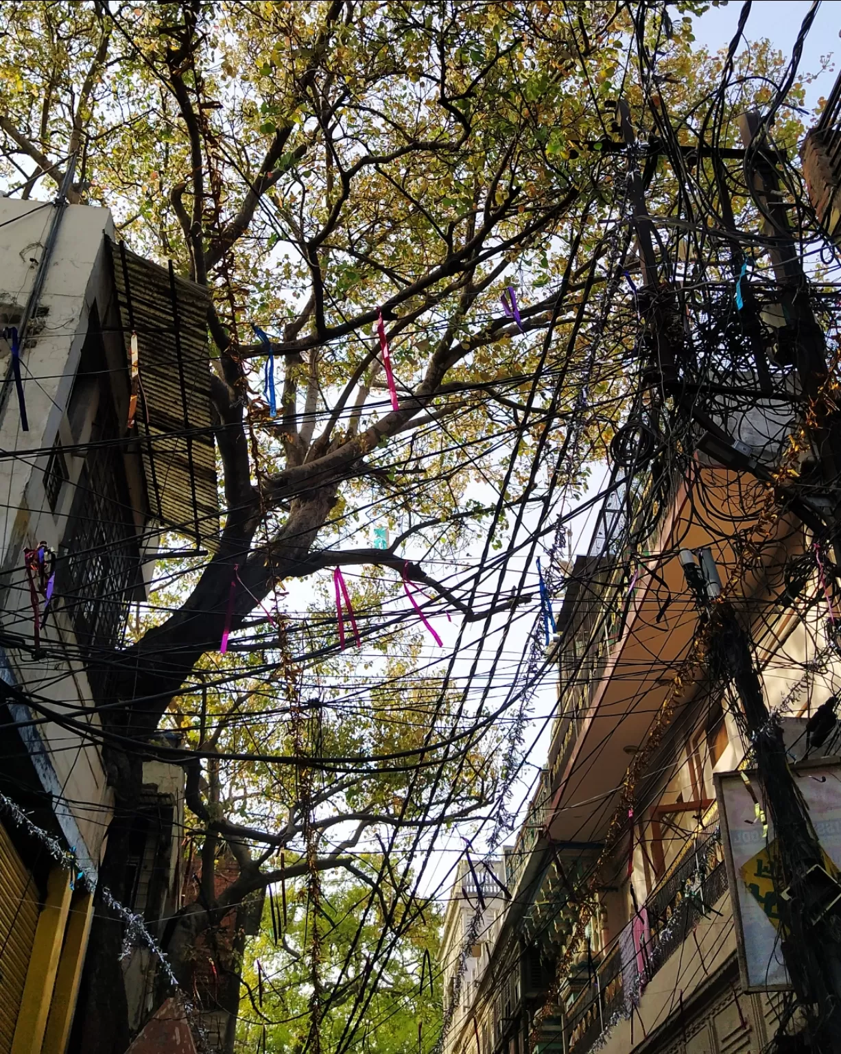 Photo of Aminabad, Lucknow