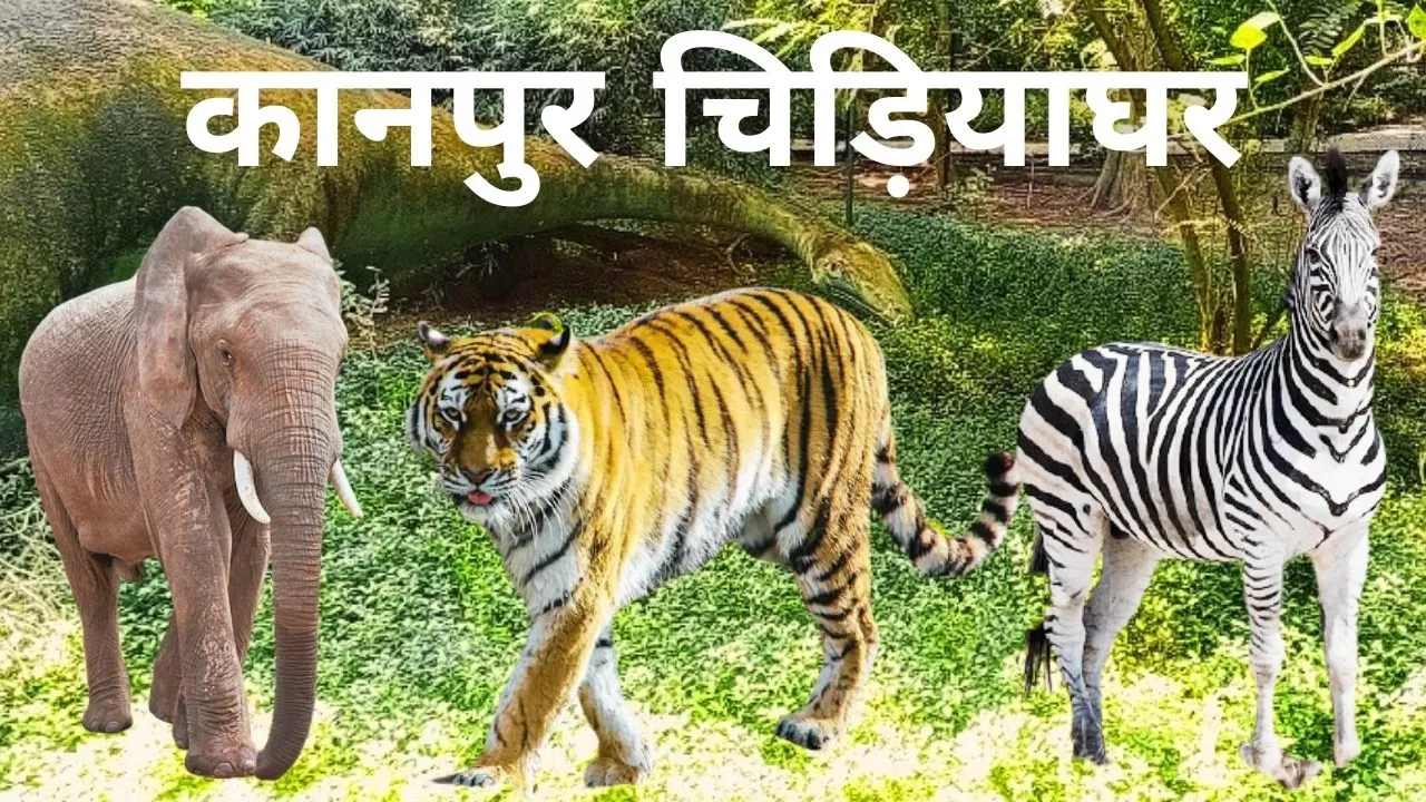 Photo of Kanpur Zoological Park, Kanpur