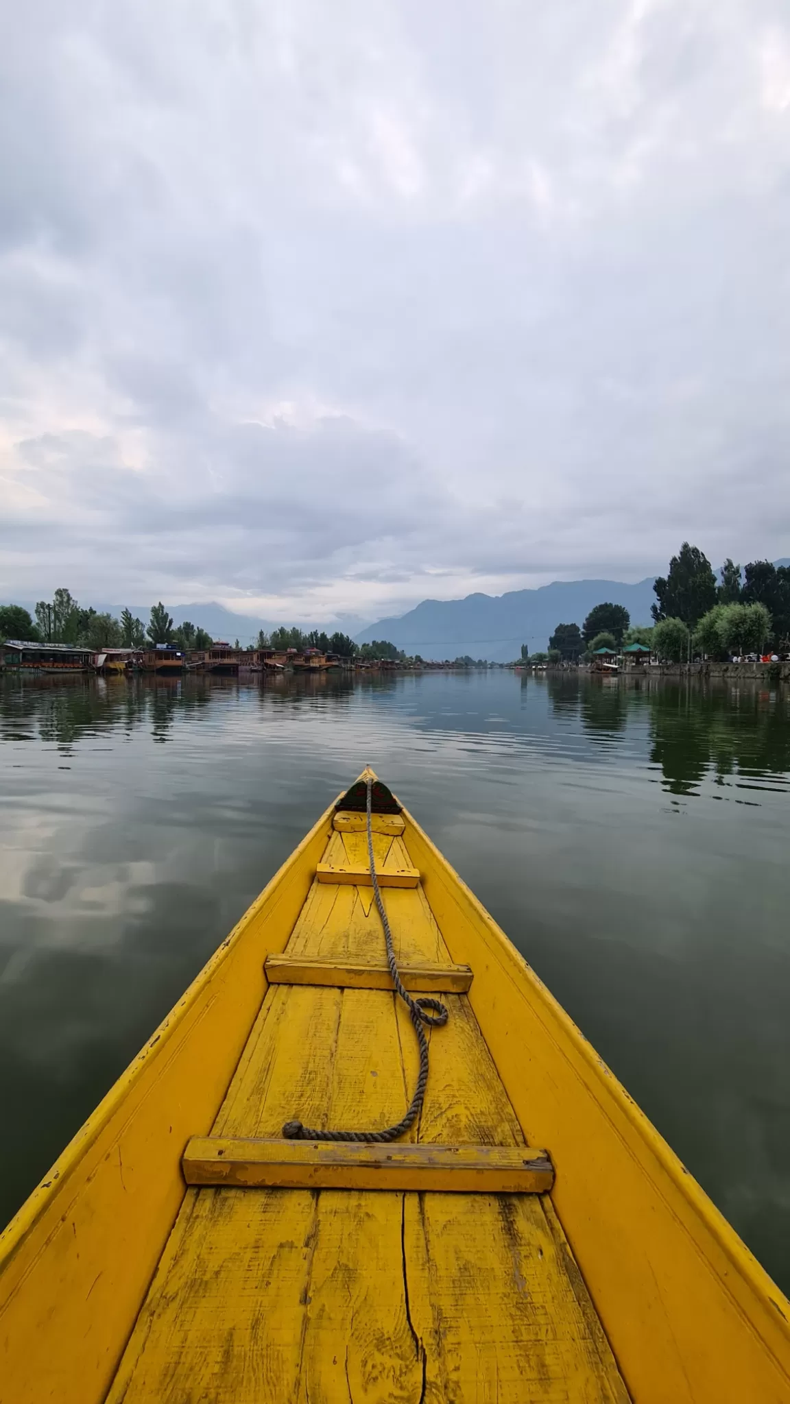 Photo of Shikara Ride in Srinagar, Srinagar