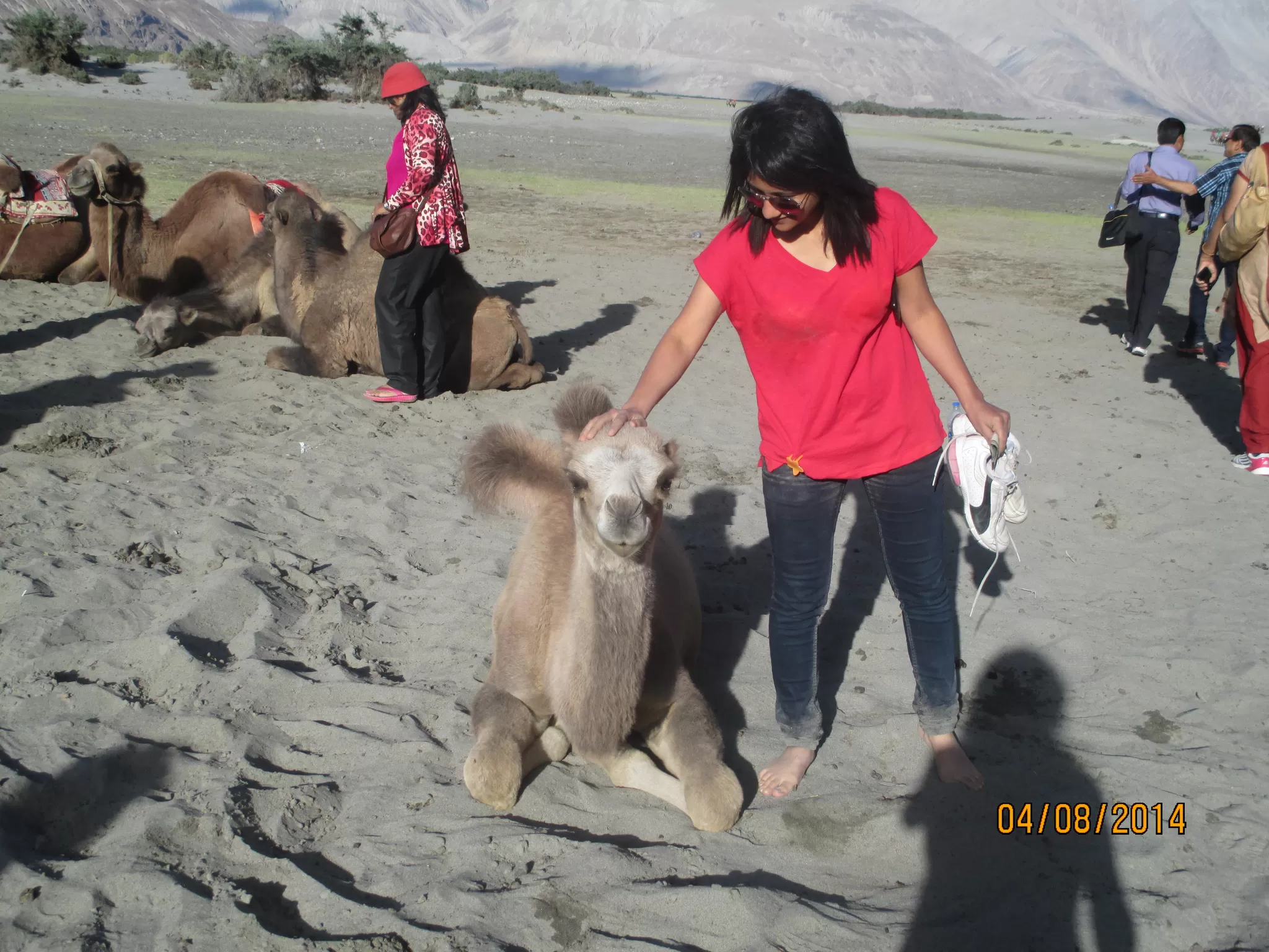 Photo of Nubra Valley, leh ladakh