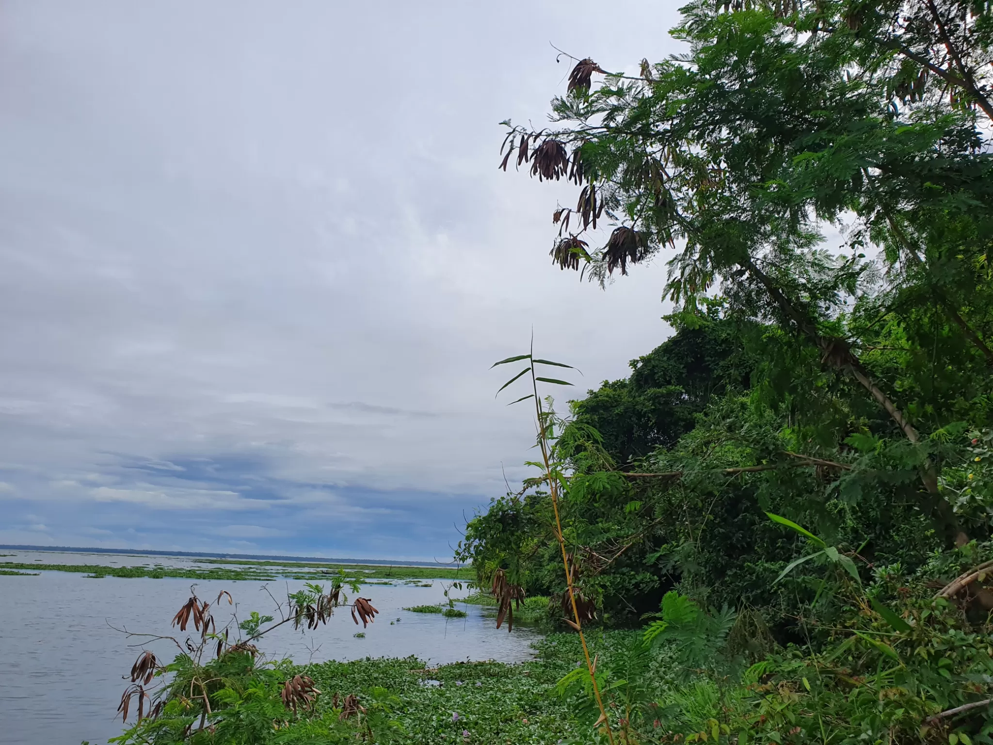 Photo of Pathiramanal Island, Alleppey