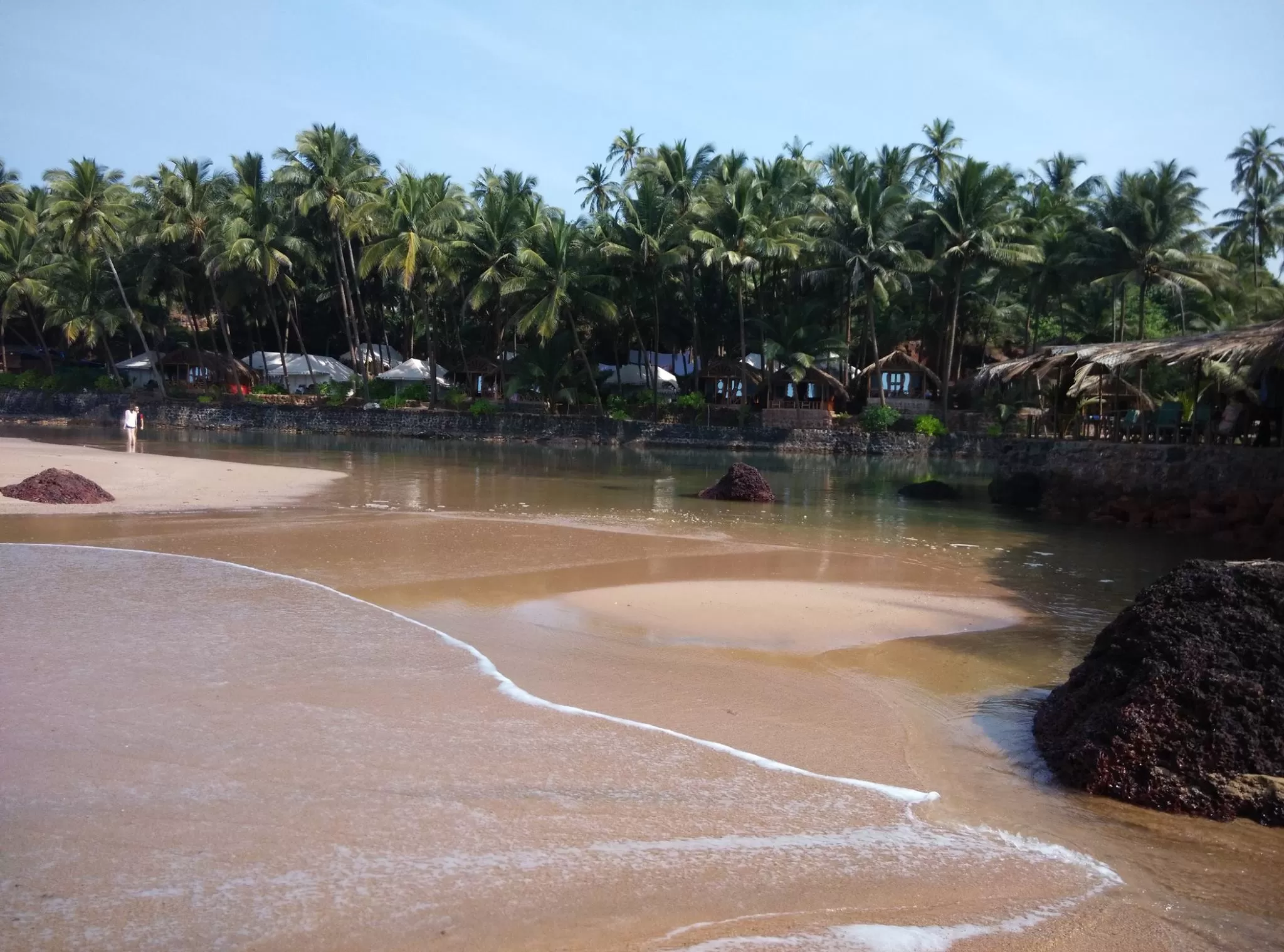 Photo of Cola Beach, Goa