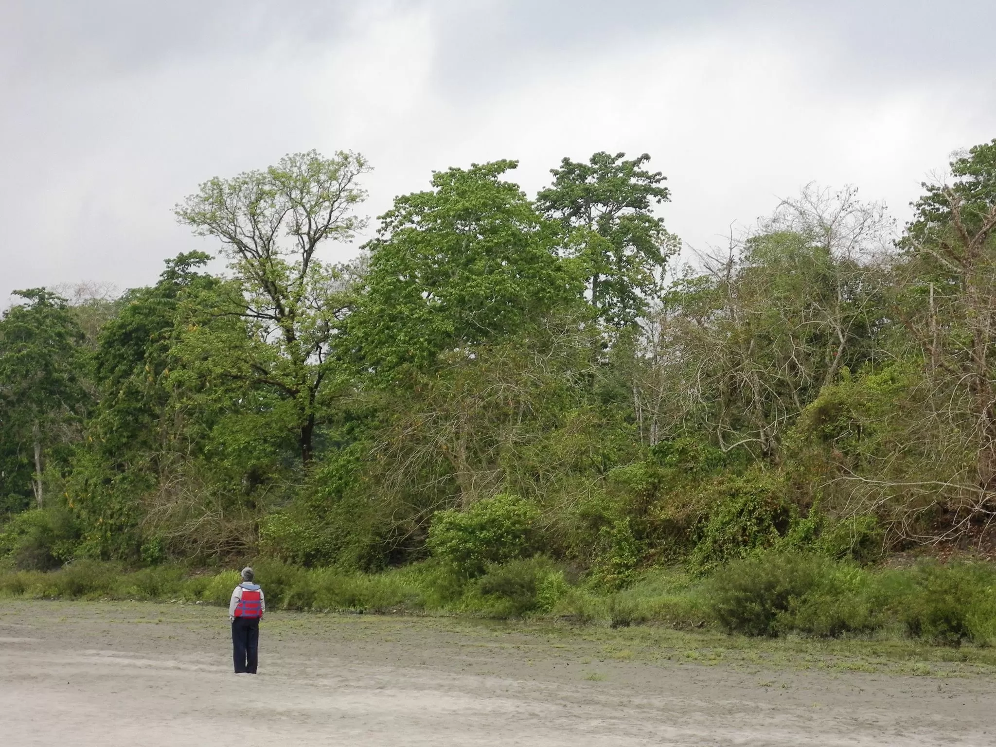 Photo of Nameri National Park, Tezpur