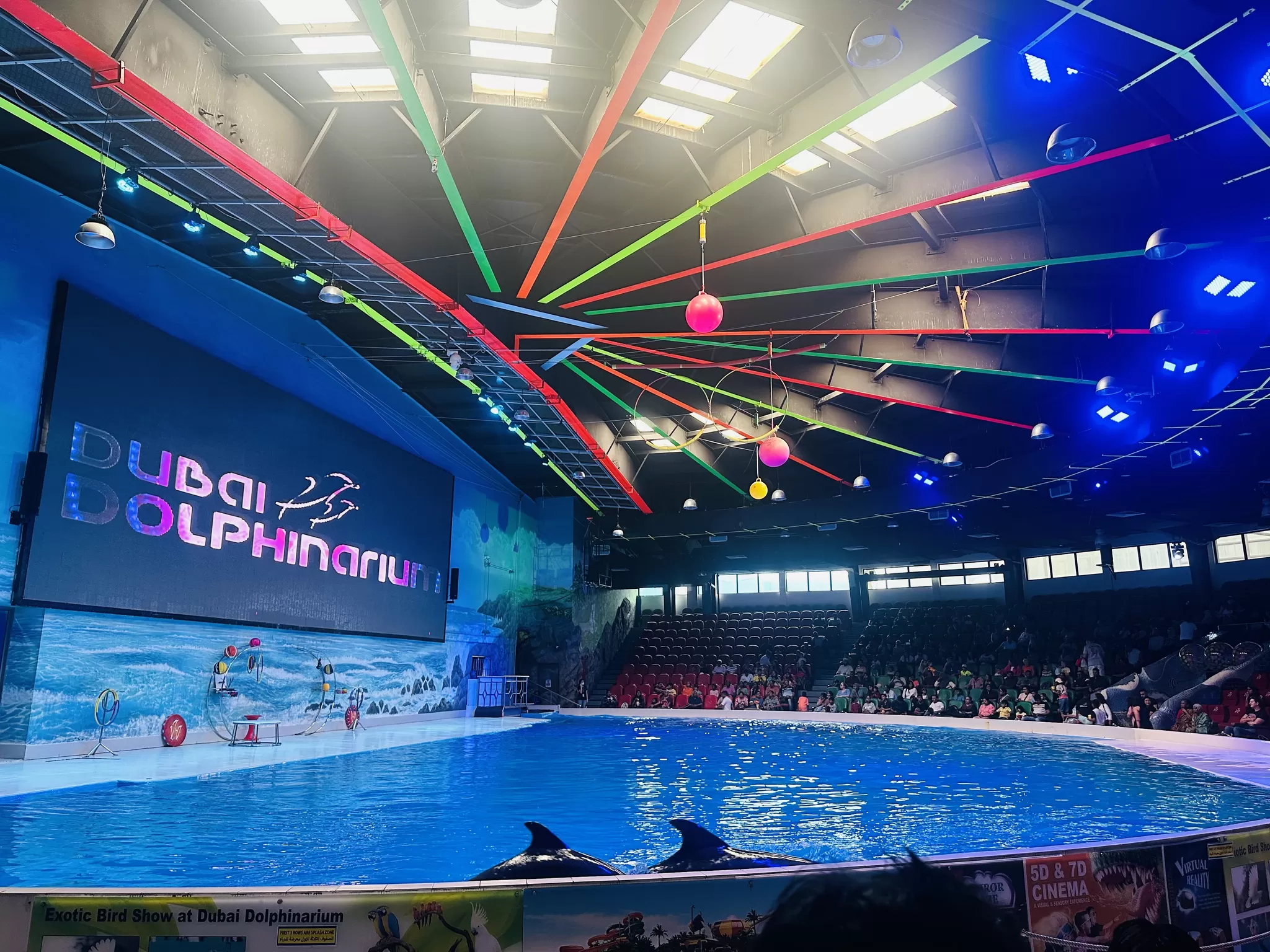Photo of Dubai Dolphinarium, Dubai