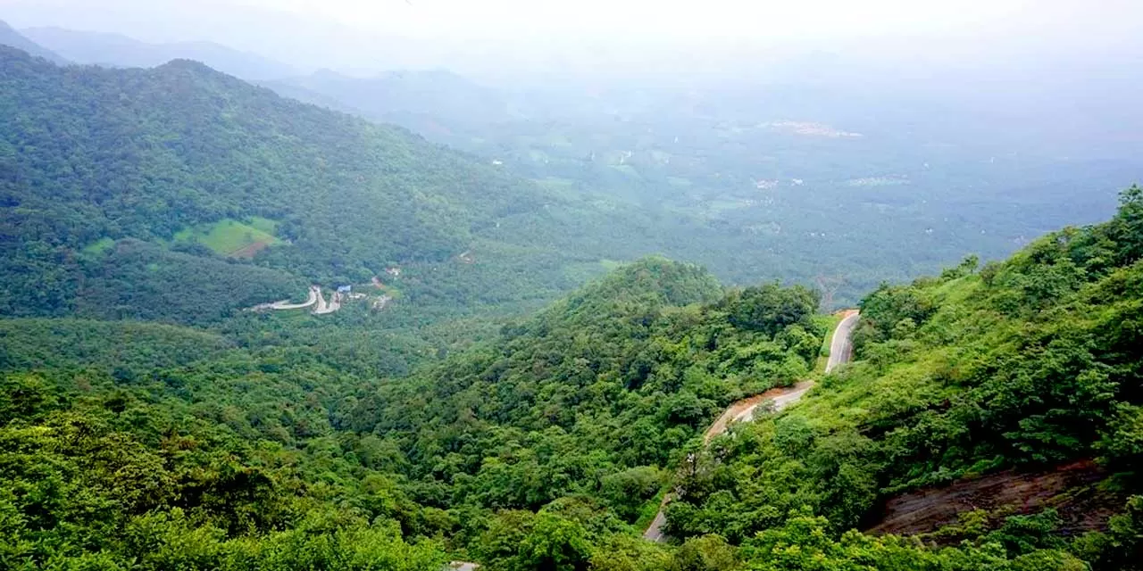 Photo of lakkidi view point, Wayanad