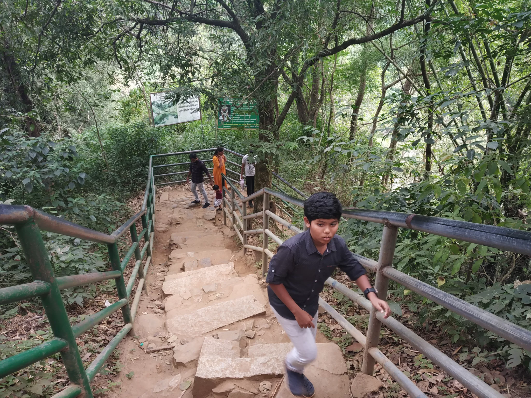Photo of Soochipara Falls, Wayanad