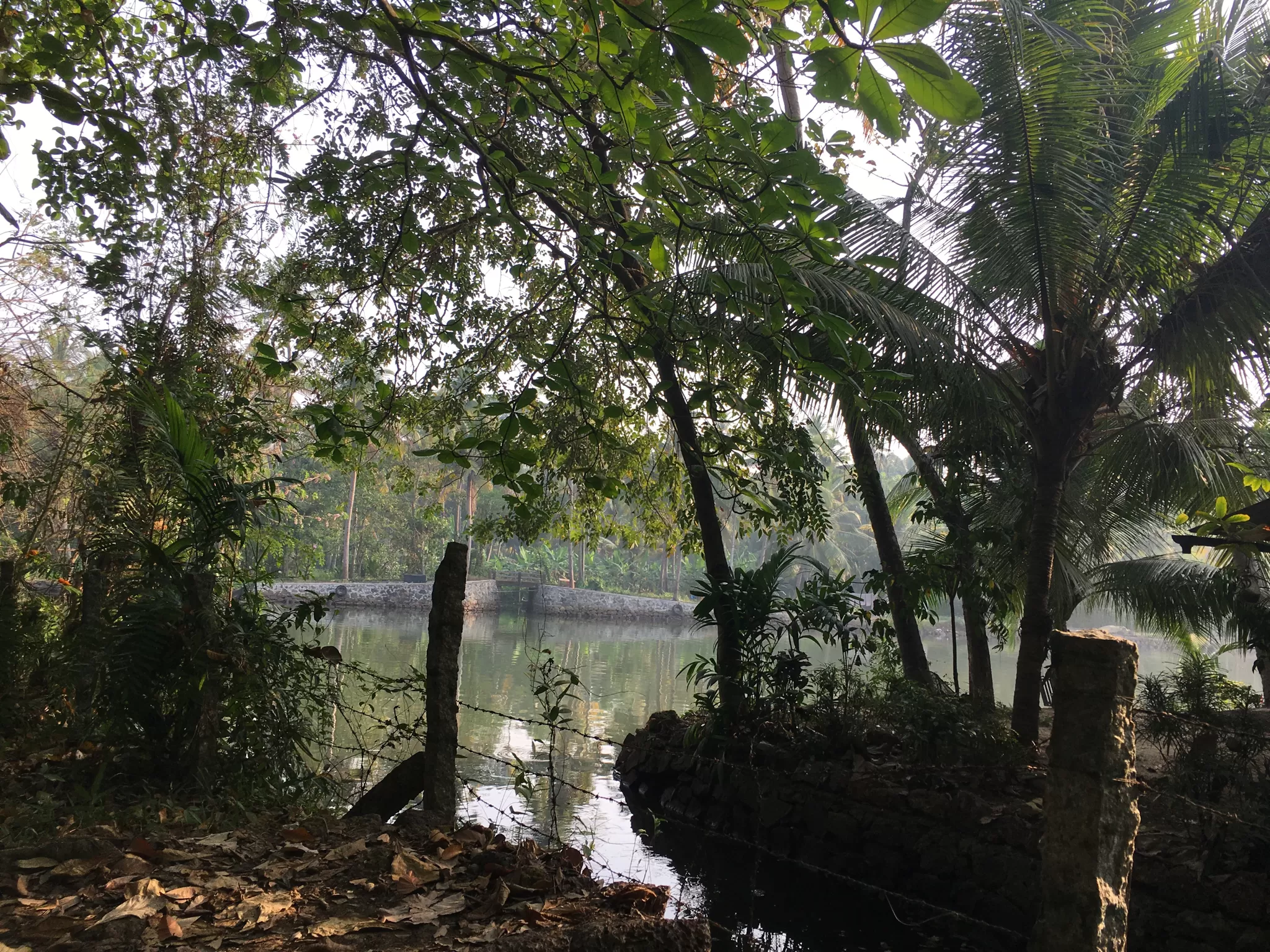 Photo of Kumarakom Bird Sanctuary, Kottayam