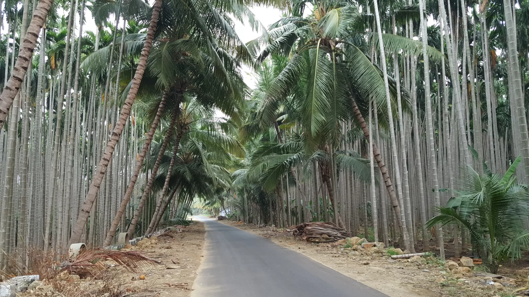 Photo of Kolli Hills, Chennai