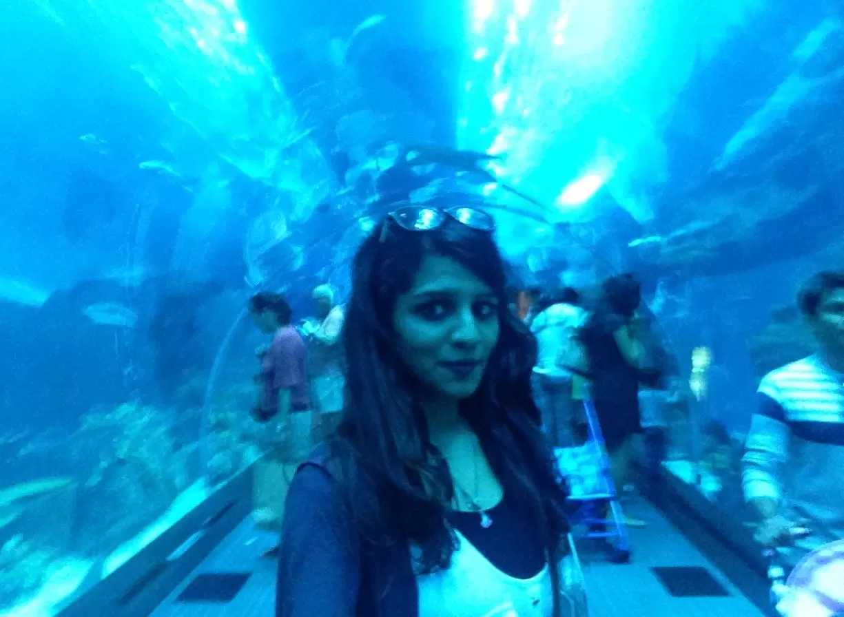 Photo of Dubai Aquarium And Underwater Zoo, Dubai
