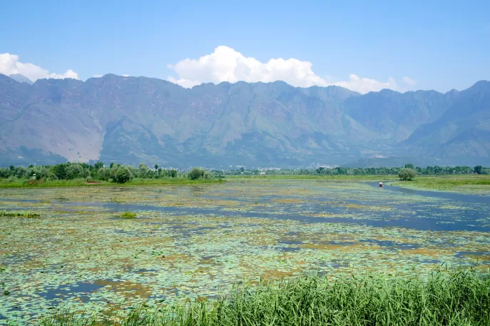 Photo of Dal Lake, Srinagar