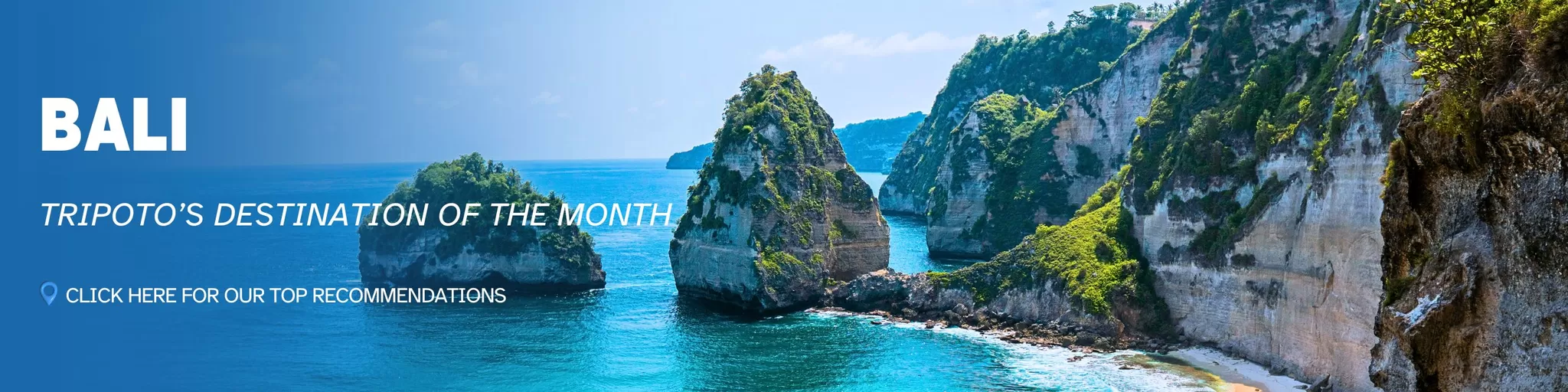 Web Banner