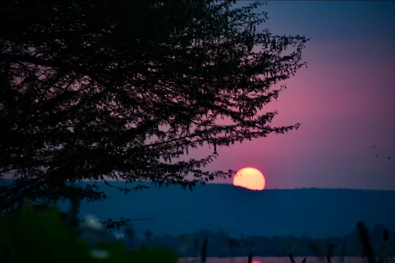 Photo of Gangapur Dam, Nasik