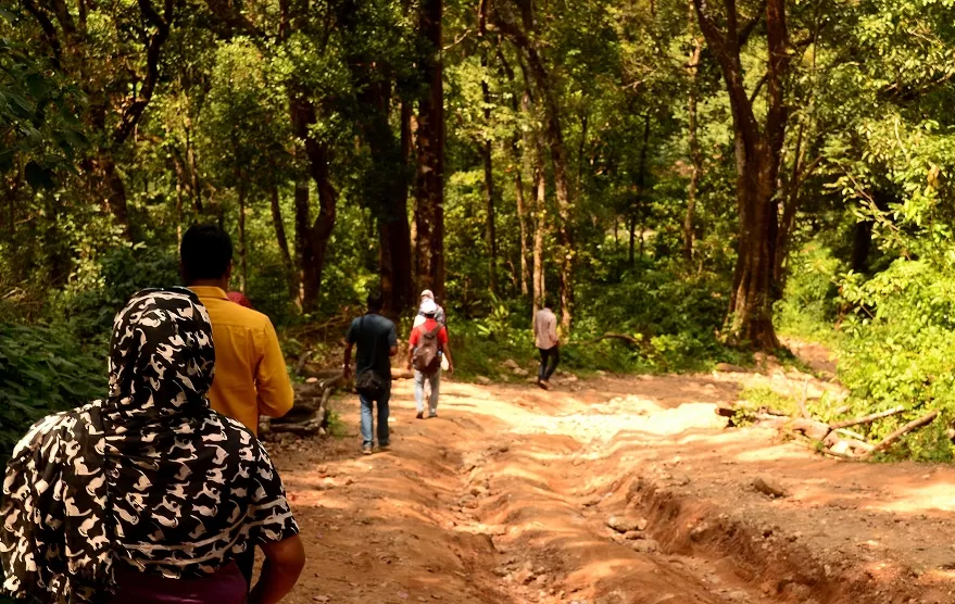 Photo of mallalli falls, Coorg