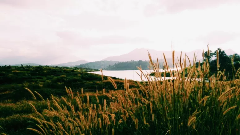 Photo of Karapuzha Dam, Wayanad